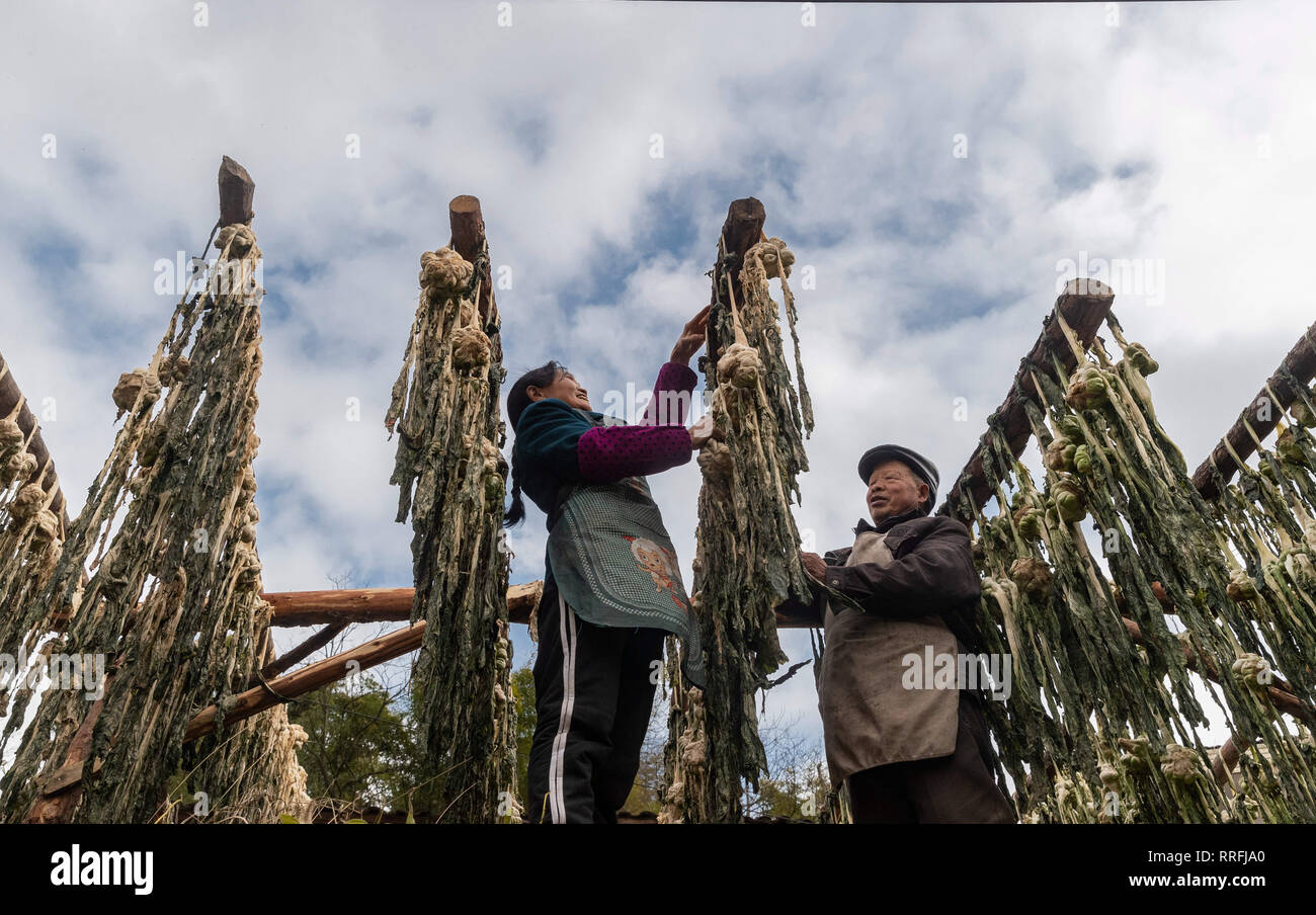 Chongqing, Chongqing, Chine. Feb 25, 2019. Chongqing, Chine-paysans légumes salés processus dans le sud-ouest de l'ChinaÃ¢â€ Chongqing Crédit : SIPA Asia/ZUMA/Alamy Fil Live News Banque D'Images