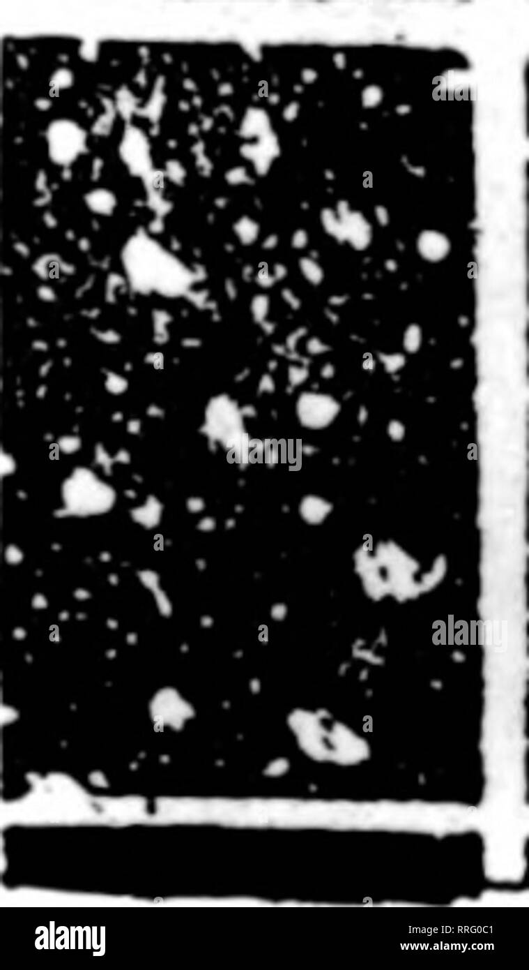. Les fleuristes [microforme] examen. La floriculture. Vkose ^irt-kday est en février ?1921 • MON. 114"n''AUT. L'OIO 1. 2 jeu. Ibp 3. 45 J'ai^^^- S'EST 910 11 12 UN^4JlS 16 17 18 19 20 &gt;f 22 23 24 25 26 27 28 • » • • • •. La journée Sr VALENTIME-" .Schramm Bros. 1307-15 CHERRY 5T À LA FOIS PHOMES r^objectif 1A79. Veuillez noter que ces images sont extraites de la page numérisée des images qui peuvent avoir été retouchées numériquement pour plus de lisibilité - coloration et l'aspect de ces illustrations ne peut pas parfaitement ressembler à l'œuvre originale.. Chicago : les fleuristes Pub. Co Banque D'Images