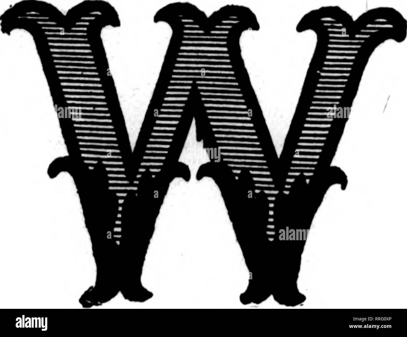 . Les fleuristes [microforme] examen. La floriculture. 10 mars, 1921. Le Horists AHENTION^ Review 67 : regardez le prix bas. Sur SCRIPT MOTS et no 1 LETTRES D'or qu'ils sont importés de la qualité la plus OR brillant et extra fine gommé à l'arrière. S'ils ne sont pas les meilleurs que vous avez jamais eu, les renvoyer à nos frais. Nous voulons que votre entreprise en lettres d'or et de script. N° 1 Lettres d'or, par 1 000 - - - - $3,00 Mots Script, or ou violet, pour 100 mots 2,00 $ n° 1 dans le texte suivant : Père fille Mamma tante ami Papa de Mère Fils Oncle Baby Sister Grandpa Mari Darling notre Frère Grand-mère épouse Banque D'Images