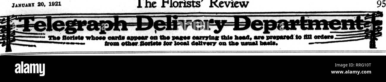 . Les fleuristes [microforme] examen. La floriculture. 20, 1921 JANCABT^ Les fleuristes d'examen. San Francisco et environs Mac Laren G)mpanyRorie-Mc141 Powell Street les fleuristes, nous cultivons notre propre stock et avec une vaste série de nur- de tirer de peut donner des valeurs inhabituelles. Gros BBTAIl s F une rrancisco Oakland, Berkeley et environs CHAS. C. NAVLET CO. trois magasins : 423 et 427 Market Street SAN FRANCISCO. CAUF. 917 Washington Street Oakland. CAUF. 20 et 22 à l'Est San Fernando Street SAN JOSE. CALIF. SAN FRANCISCO Podesta Baldocchi &AMP ; 224-226, avenue Grant invite et une attention particulière aux ordres d'oat-ot- Banque D'Images