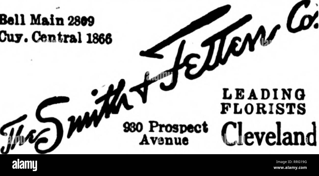 . Les fleuristes [microforme] examen. La floriculture. CThe JonesHRussellCo. 1284 Aoenue Cleueland tnombers Euclide F. D. T. Ball llain Cie 2809. 1866 Central. Les fleuristes de premier avenu ?*" CleVelc CLEVELAND, Ohio A. GRAHAM &AMP ; FILS 6523 AVENUE EUCLID pour fleuristes Membres TelecraDh Aasn Livraison. CLEVELAND, 0. 6923 EUCLID AVENUE WESTMAN &AMP ; GETZ FLEURS ET Fleuristes LIVRAISON SERVICE Memliers Telegraph. CLEVELAND, Ohio Wm. H. Temblett Membre FLEURS F. D. T. 10313 avenue Euclid a..,OER"J LA PLACE DE PENN eveland, fleuristes TOUJOURS OUVERTE nVE STOCKE DANS LE NORD DE L'OHIO CLEVELAND [sTo"^Ry 13336 Eudid Ave., Public 144 Sq. Banque D'Images