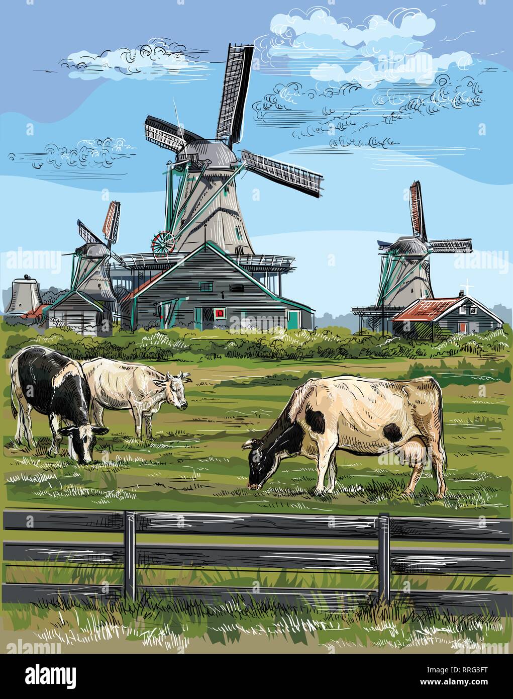 Vector Illustration dessin de moulin à eau à Amsterdam (Pays-Bas, Hollande). Monument de la Hollande. Moulin à eau et de vaches qui paissent dans les prés.Color Illustration de Vecteur