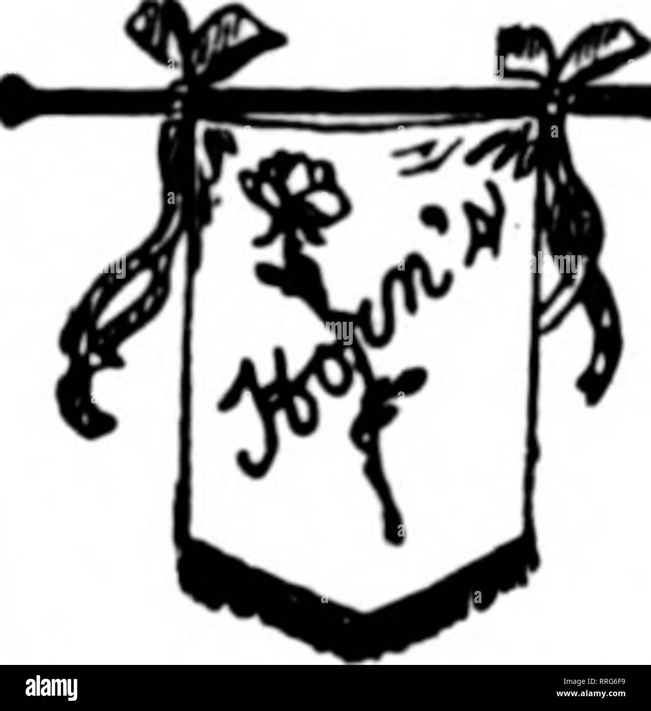 . Les fleuristes [microforme] examen. La floriculture. SCHRAMM BROS. 1315 Cherry St. TOLEDO et environs VENTE EN GROS ET AU DÉTAIL OTTO P. KRUEGER 427 East Broadway.. ^ Fremont, 0. Floral corne Co. 912 ST CROGHAN États F. D. T. COLUMBUS. 0.. et environs TEE FLORAL MUNK CO., les producteurs peuvent remplir toutes les commandes de détail. WILSON NOUS LE FERONS RAPIDEMENT Columbus, Ohio Columbus, Ohio F..^^^n' s- LE FRANKLIN PARK CO. FLORAL fleur à couper- pour le centre de l'Ohio. L'TheToledojOhio SUDER, Florins A. A. SUDER. Titulaire 2941-3003 CHERRY STREET Dayton, OHIO ABBY AVE. Les serres E. E. Schaefer, Prop. Plus de gros et de détail Gree Banque D'Images