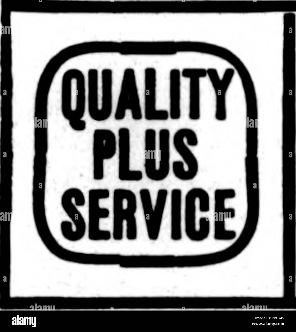 . Les fleuristes [microforme] examen. La floriculture. Car je l'Est de l'Iowa Western Wisconsin N. W. Illinois FWR^^NUI ERX Dubuque, Iowa. DAVENPORT, IOWA ET WESTERN ILLINOIS G. F. FORBER, 313, rue Brady fleuristes* Membre de l'Association Prestation Télégraphe. Veuillez noter que ces images sont extraites de la page numérisée des images qui peuvent avoir été retouchées numériquement pour plus de lisibilité - coloration et l'aspect de ces illustrations ne peut pas parfaitement ressembler à l'œuvre originale.. Chicago : les fleuristes Pub. Co Banque D'Images