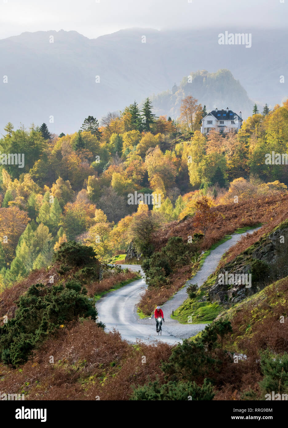 Un cycliste solitaire, Catbells, distant Castle Crag, et Manesty Woods in Borrowdale, Parc National de Lake District, l'UNESCO, Cumbria, Angleterre Banque D'Images
