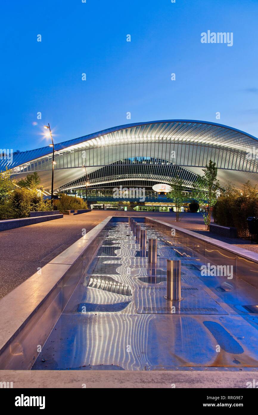 La gare de Liège-Guillemins, architecte Santiago Calatrava, Liège, Belgique, Europe Banque D'Images