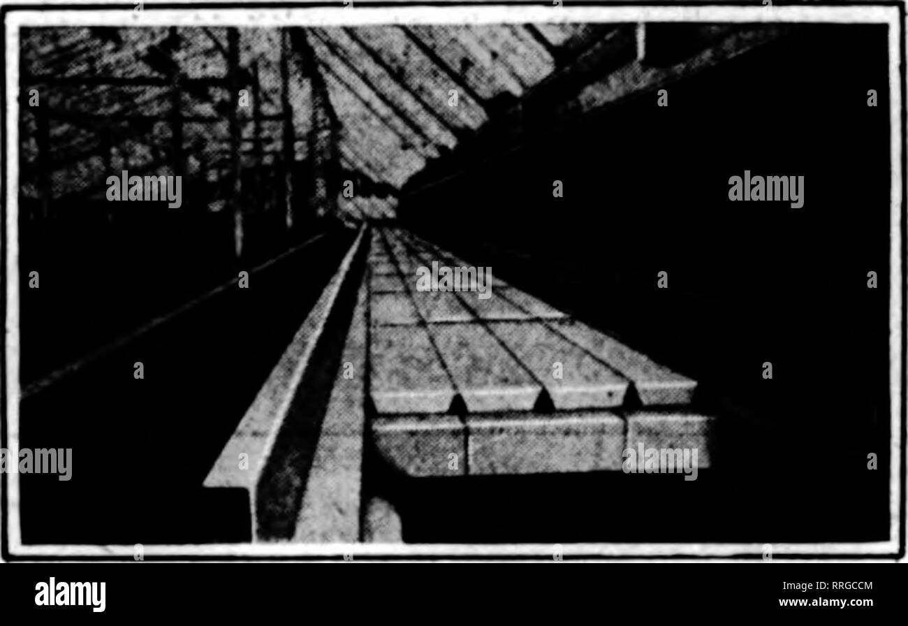 . Les fleuristes [microforme] examen. La floriculture. 122^ DiCBUBBB les fleuristes d'examen 25. 1919. , -&Gt ;, CLEVELAND, O. Tbe marché. La semaine dernière, il s'illumina d'actions con- siderably. Le temps était froid mais lumineux, qui a aidé les producteurs. La ligne générale de la maison de couronnes, des paniers et des nouveautés bien déplacé et de nombreux articles nettoyés tôt. Boses étaient bons mais rares. Stévia et narcisses effacée bien. Calendulas, marguerites et autres nouveautés étaient en demande. Les plantes, surtout les poinsettias, nettoyé bien. Le buis, pins et autres wreathing était en bon la demande. Holly était bon et ce qu'il y avait de il cle Banque D'Images