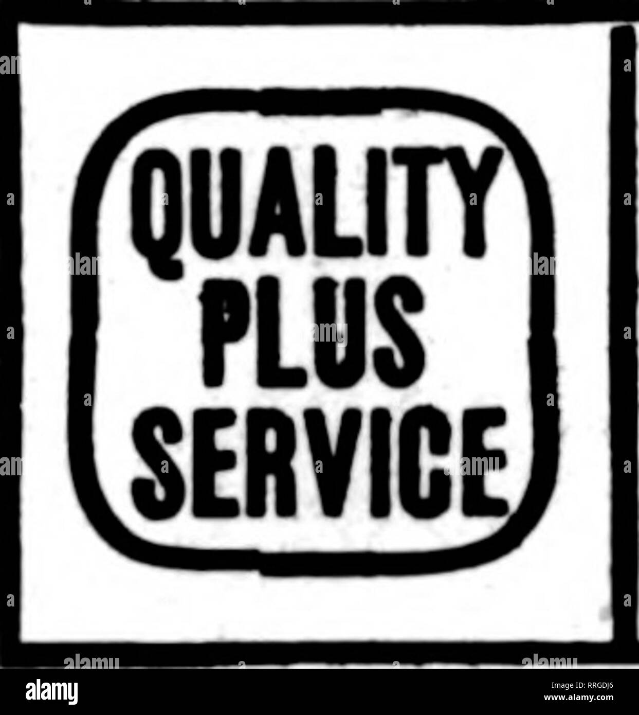 . Les fleuristes [microforme] examen. La floriculture. Pour { Eastern Iowa Western Wisconsin N.W. L'Illinois FWR^^NUi RX Dubuque, Iowa. DAVENPORT, IOWA ET WESTERN ILLINOIS G. F. FORBER. 313, rue Brady pour fleuristes Membre Telesraph Association de livraison. Veuillez noter que ces images sont extraites de la page numérisée des images qui peuvent avoir été retouchées numériquement pour plus de lisibilité - coloration et l'aspect de ces illustrations ne peut pas parfaitement ressembler à l'œuvre originale.. Chicago : les fleuristes Pub. Co Banque D'Images