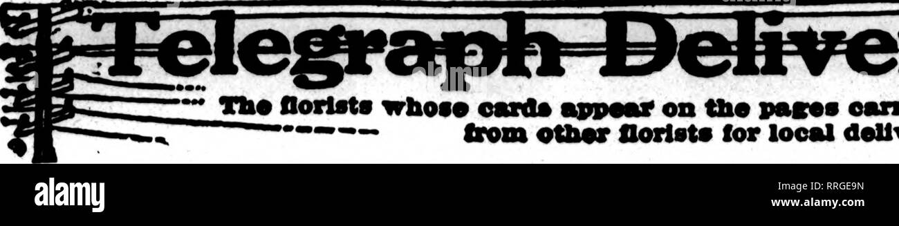 . Les fleuristes [microforme] examen. La floriculture. OCTOBIB 7, 1920 L'examen les fleuristes 91. E fleuriste"* whoa* irt* avpMtf oarrylns sur le vasos tbla hMitf* aro prop"r"d pour remplir ordors. fromotbor ...-* fleuriste local pour doUvcnr unuUlMMl* sur le.. Veuillez noter que ces images sont extraites de la page numérisée des images qui peuvent avoir été retouchées numériquement pour plus de lisibilité - coloration et l'aspect de ces illustrations ne peut pas parfaitement ressembler à l'œuvre originale.. Chicago : les fleuristes Pub. Co Banque D'Images