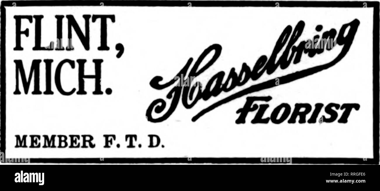 . Les fleuristes [microforme] examen. La floriculture. MICHIGAN ARRÊTÉS SERONT soigneusement gardés PAR HENRY SMITH GRAND RAPIDS FLEURISTE VENTE EN GROS ET AU DÉTAIL. Les États F. D. T. 200,000 pieds VERRE OP CONSACRÉ AUX FLEURS ET PLANTES. GRAND RAPIDS ARTHUR F. CRABB F.T.D. Les États. 13 Jefferson Aye., S. Servins toutes les villes de l'Ouest Michigan. MT. Agréable, MICH. n  %'. Walter W. Caple Midland, Michigan. PERCIVAL F. PENFOLD Saginaw, Michigan GROHMAN LE FLEURISTE États F. D. T. A-'n. NOBTH 117 FRANKLIN ST J. B. GOETZ Fils de Saginaw, Michigan. Ou N'IMPORTE QUELLE VILLE DU MICHIGAN Ann Arbor, Mich., i'^BluMaize X Blossom Shop Flint Mich evans Chambre des Banque D'Images