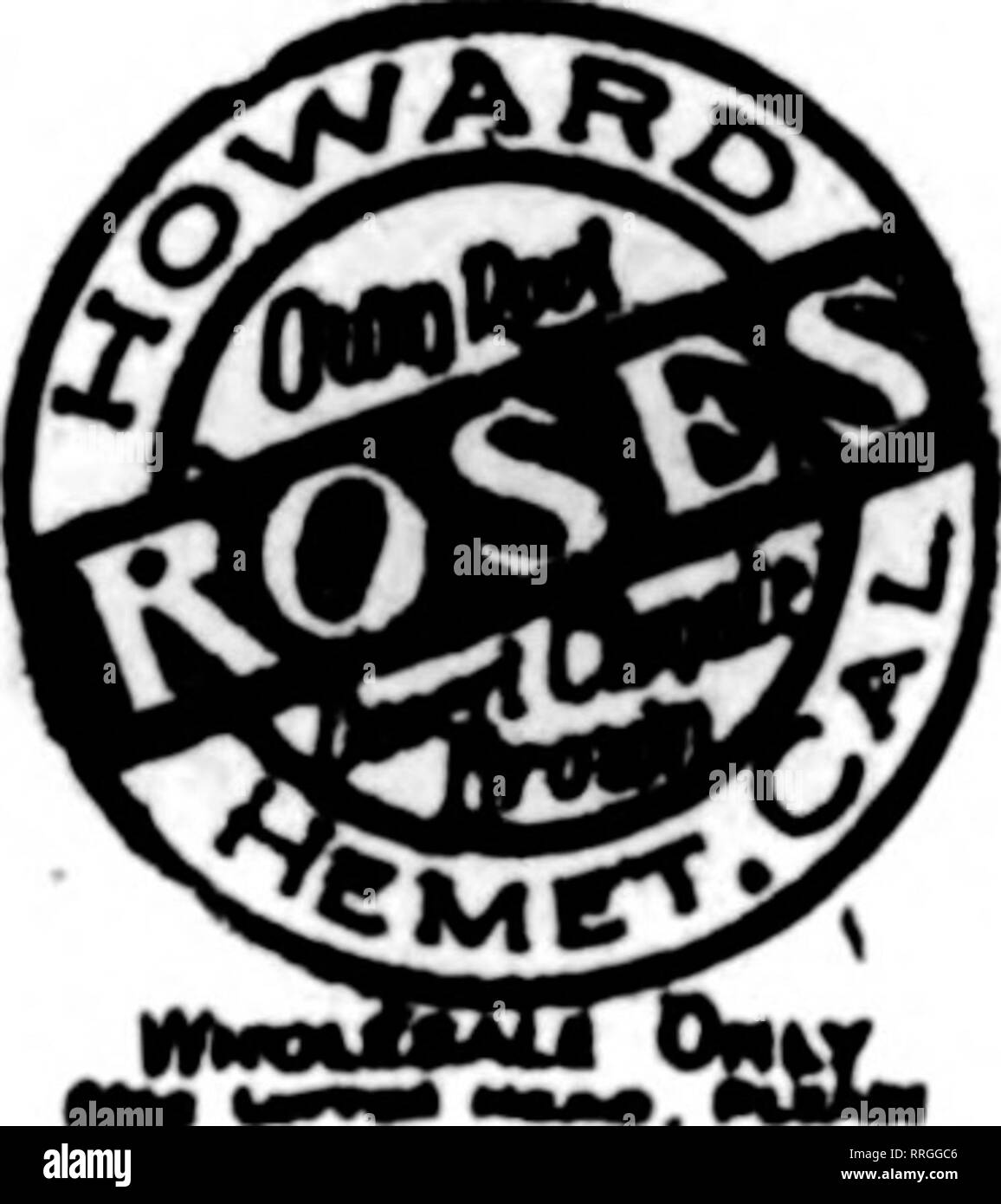 . Les fleuristes [microforme] examen. La floriculture. HINOKI importés de Californie à l'usine n°1-13. X 13 po. de diamètre, 10 pour 6,00 $US 100... pour....$50.00 Fleurs de saison et les Verts UNITED FLOWER &amp;. SDrrLYCO,inc. NioleMle ￥ les fleuristes, les expéditeurs et les producteurs 448 Bush Street SAN FRANCISCO, CAL polders. Elles sont d'excellente qualité et seront fournies en abondance jusqu'au gel les coupe vers le bas vers la fin de l'année. La réunion ordinaire de la société a eu lieu Floral Portland mardi 13 juillet. La participation était faible. Prési- dent Tonseth a annoncé son comités pour l'année à venir et, à partir de la tous Banque D'Images