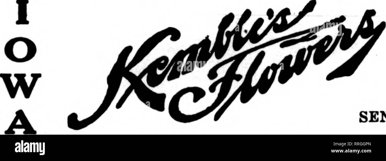 . Les fleuristes [microforme] examen. La floriculture. DAVENPORT, IOWA ET WESTERN ILLINOIS G. F. FORBER. 313, rue Brady États les fleuristes Livraison de télégraphe Association. Veuillez noter que ces images sont extraites de la page numérisée des images qui peuvent avoir été retouchées numériquement pour plus de lisibilité - coloration et l'aspect de ces illustrations ne peut pas parfaitement ressembler à l'œuvre originale.. Chicago : les fleuristes Pub. Co Banque D'Images