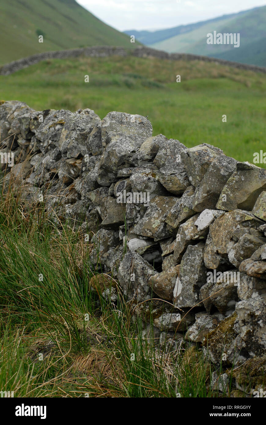 Tourisme nature : réserve naturelle de la queue de Grey Mare. Dumfries & Galloway, Écosse, Royaume-Uni Banque D'Images
