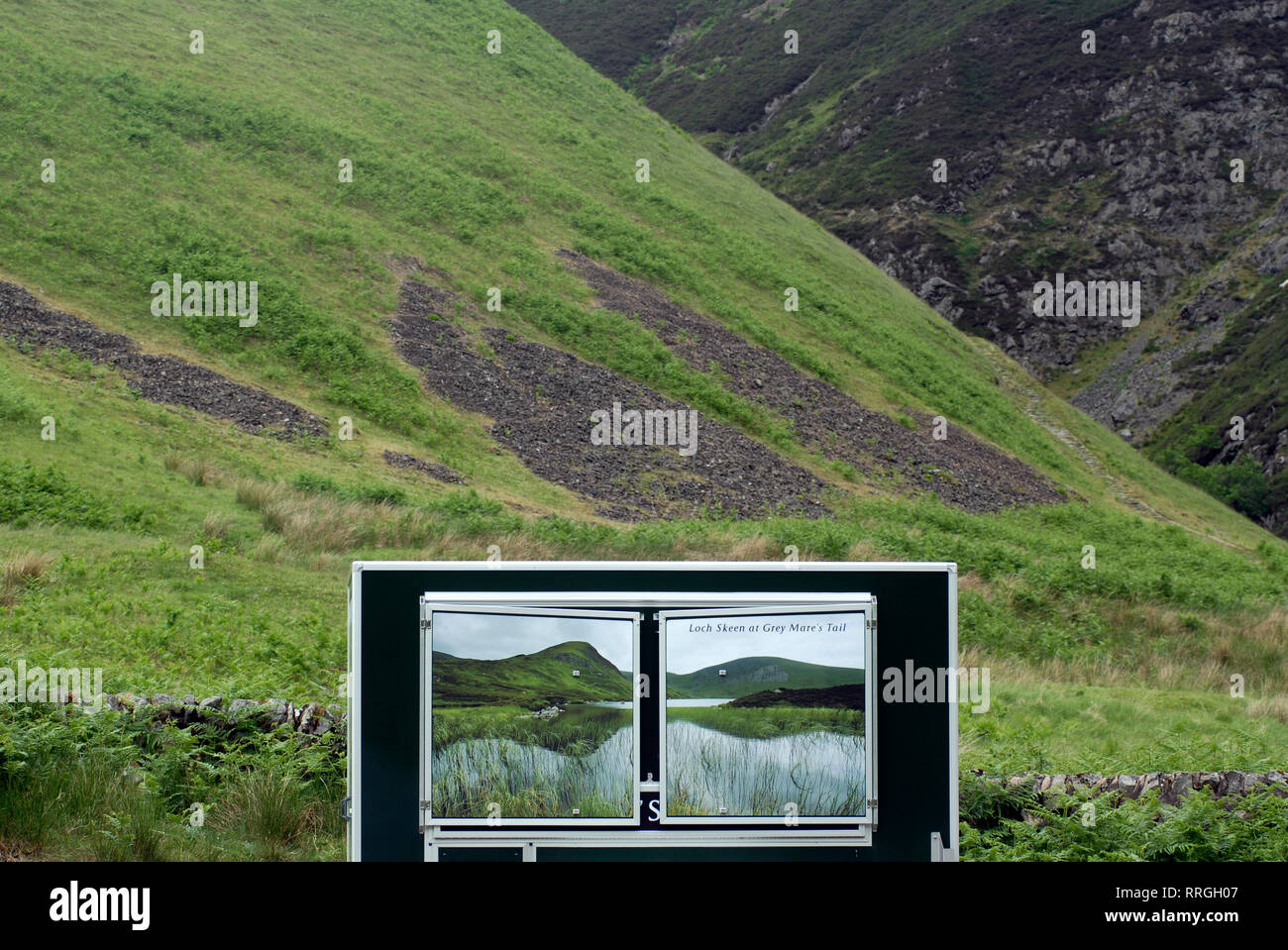 Tourisme nature : réserve naturelle de la queue de Grey Mare. Dumfries & Galloway, Écosse, Royaume-Uni Banque D'Images