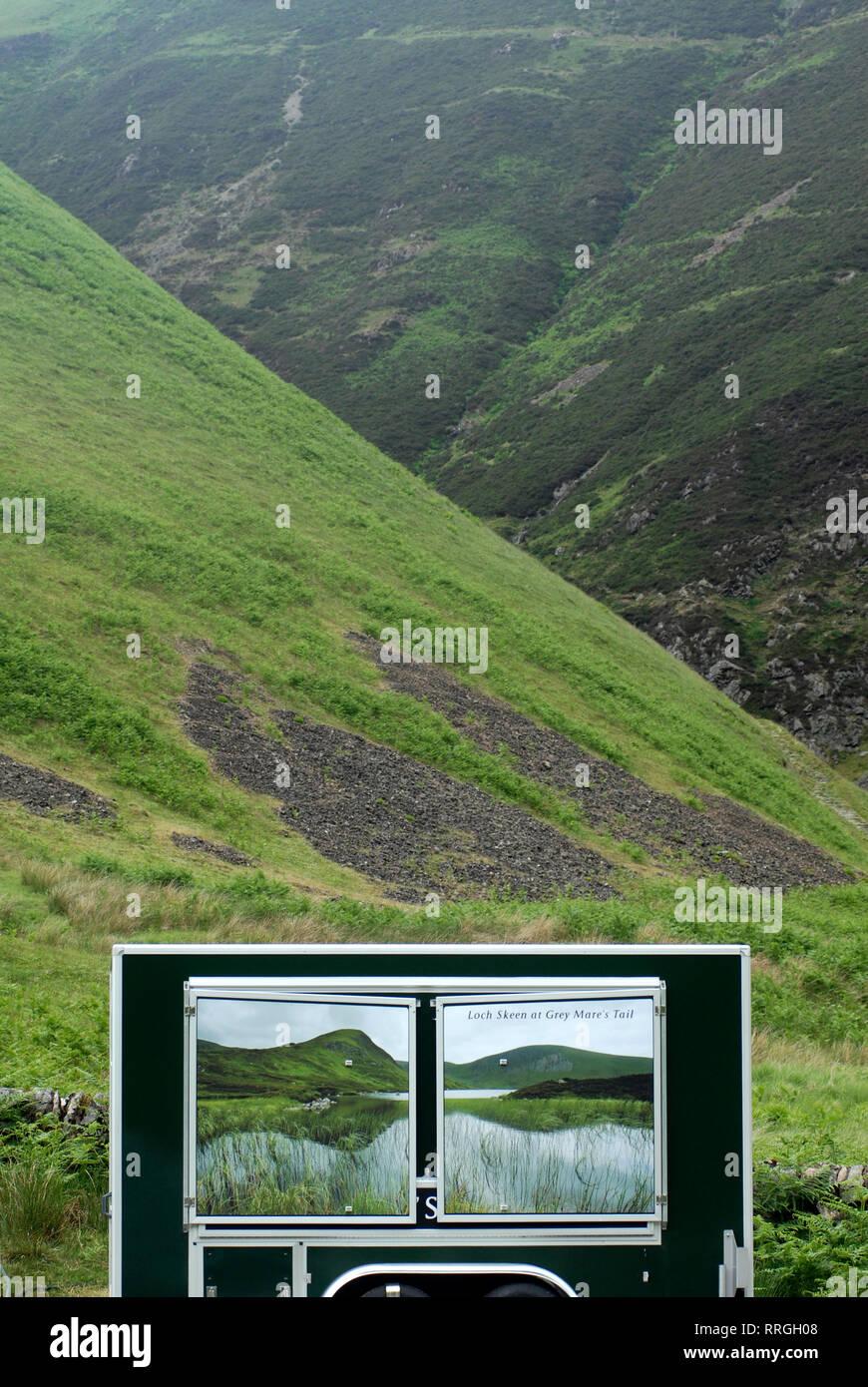 Tourisme nature : réserve naturelle de la queue de Grey Mare. Dumfries & Galloway, Écosse, Royaume-Uni Banque D'Images