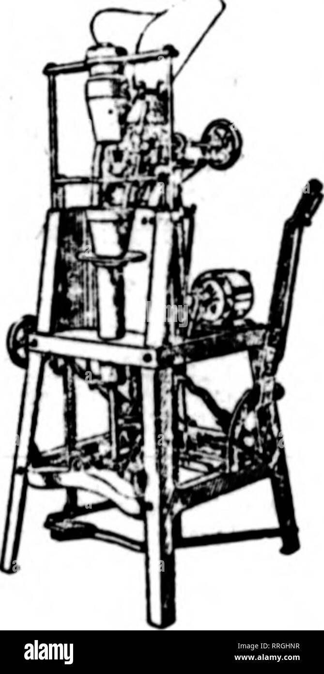 . Les fleuristes [microforme] examen. La floriculture. Liste 1920-1921 de plein champ en juin nous croître seulement propre- Root Roses HOWARD ROSE CO., Hemet, Californie NORMES CHRYSANTHÈMES Chas. Ratfer %Cbad Blanc Marigold vick vick %Cbad Golden Yellow Jones Gel précoce Maud Doyen POMPONS Farce Beu Godfrey Hilda Canning Lydia Thomas RACINÉS f25.00 par 1000 3,00 $ par 100 de 2mj-pots. 15,00 par 100 STUBER &AMP ; RICHARDSON, Bryn Mawr, dans l'CHRYSAMTH cuttliiKg£MVM8 enracinée, la meilleure norme Tarletlefl et pompons, propre, sain, pas de stock, mldKe à 13. BO par 100 ; 30 $ pour 1000. Seldewlt Chadwicki et blanc Banque D'Images