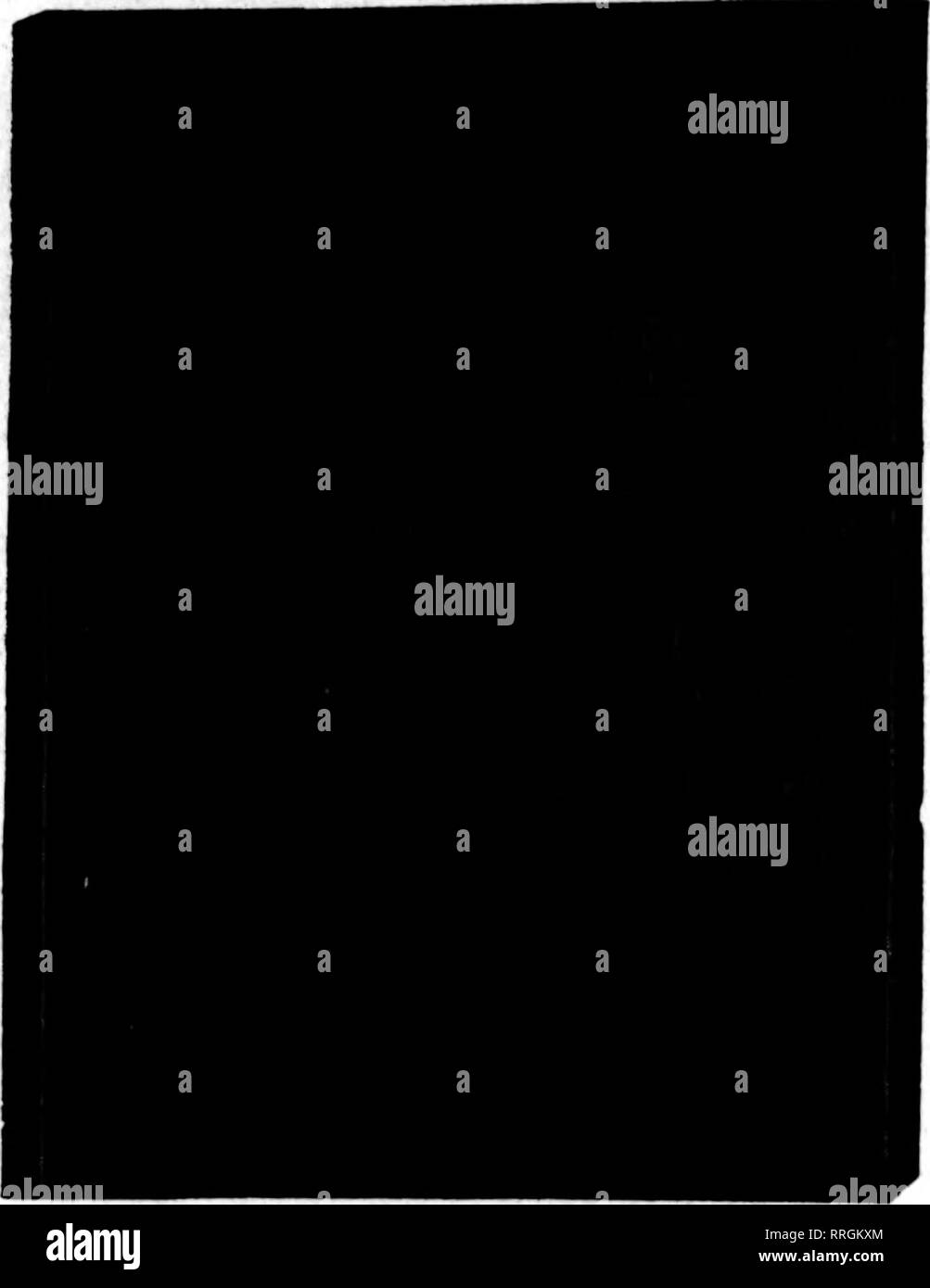 . Les fleuristes [microforme] examen. La floriculture. • ? V' jDNE 3,1920. Les fleuristes^ 37 d'examen.  % Pages, plus de 200 dessins et modèles industriels et des décorations, magnifiquement imprimé sur papier d'art, artiste Iieavy- quement lié dans une solide couverture. Le"MEILLEUR VENDEUR" aucun autre livre jamais imprimé pour Flo- rists a bénéficié d'une vente comme l'album des dessins et modèles. C'est inestimable dans la prise de commandes pour les modèles funéraires, Mariage Dec- oraisons, et toutes les décorations de table de travail de fleurs coupées, que le client peut être montré en images comment le travail fini. Cinquième édition Epuisé Sixième édition maintenant sur la presse arrêtés fi Banque D'Images