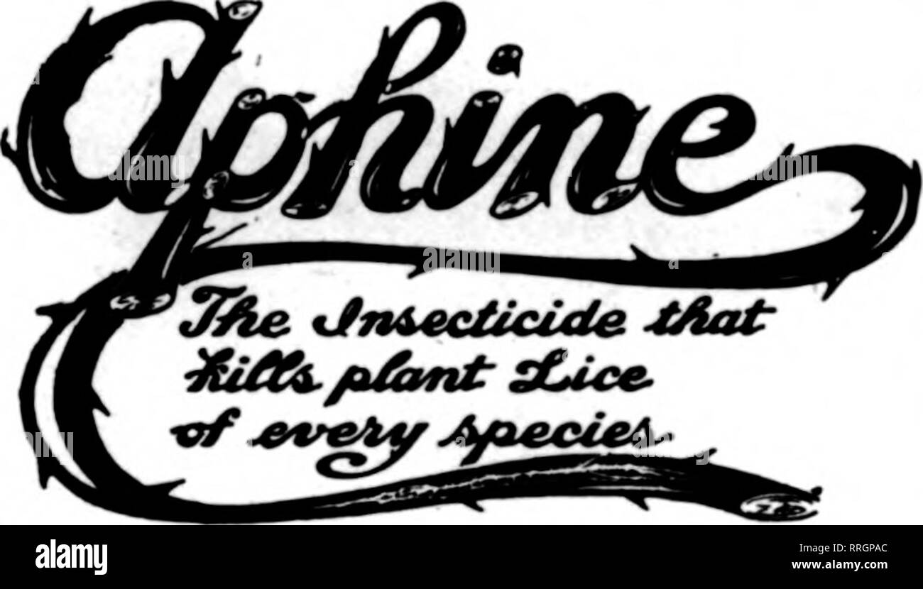 . Les fleuristes [microforme] examen. La floriculture. Sauvegarder rapport annuel axé sur les plantes et arbres. Jast la chose pour greenhoQse ontdoor et utilisation. Sac de Mealy, détruit et WhlteScale Thrlps marron, rouge, noir, Spider et Oreen voler. Les Mites, fourmis, etc.. wlthont wlthoat dommage aux plantes et l'odeur. Utilisé selon les directives, notre Insecticide Standard empêchera les ravages sur les cultures yonr par les insectes. Les non-polsonons et inoffensif pour l'utilisateur et de l'usine. Les semenciers de premier plan et des fleuristes ont utilisé avec des résultats merveilleux. Détruit le pou du poisson en poulaillers. Les puces sur les chiens et tous les animaux domestiques. Excellent comme un lavage pour chiens et autres animaux. Banque D'Images