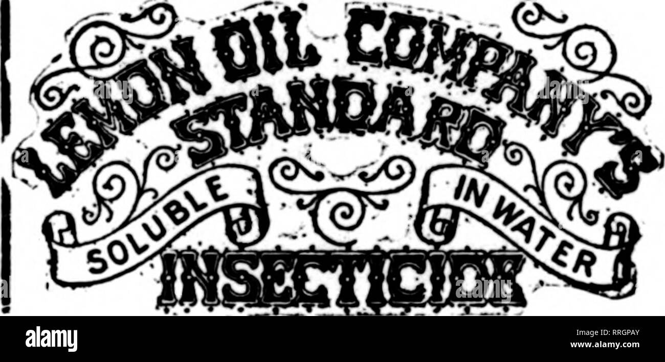 . Les fleuristes [microforme] examen. La floriculture. Sauvegarder rapport annuel axé sur les plantes et arbres. Jast la chose pour greenhoQse ontdoor et utilisation. Sac de Mealy, détruit et WhlteScale Thrlps marron, rouge, noir, Spider et Oreen voler. Les Mites, fourmis, etc.. wlthont wlthoat dommage aux plantes et l'odeur. Utilisé selon les directives, notre Insecticide Standard empêchera les ravages sur les cultures yonr par les insectes. Les non-polsonons et inoffensif pour l'utilisateur et de l'usine. Les semenciers de premier plan et des fleuristes ont utilisé avec des résultats merveilleux. Détruit le pou du poisson en poulaillers. Les puces sur les chiens et tous les animaux domestiques. Excellent comme un lavage pour chiens et autres animaux. Banque D'Images
