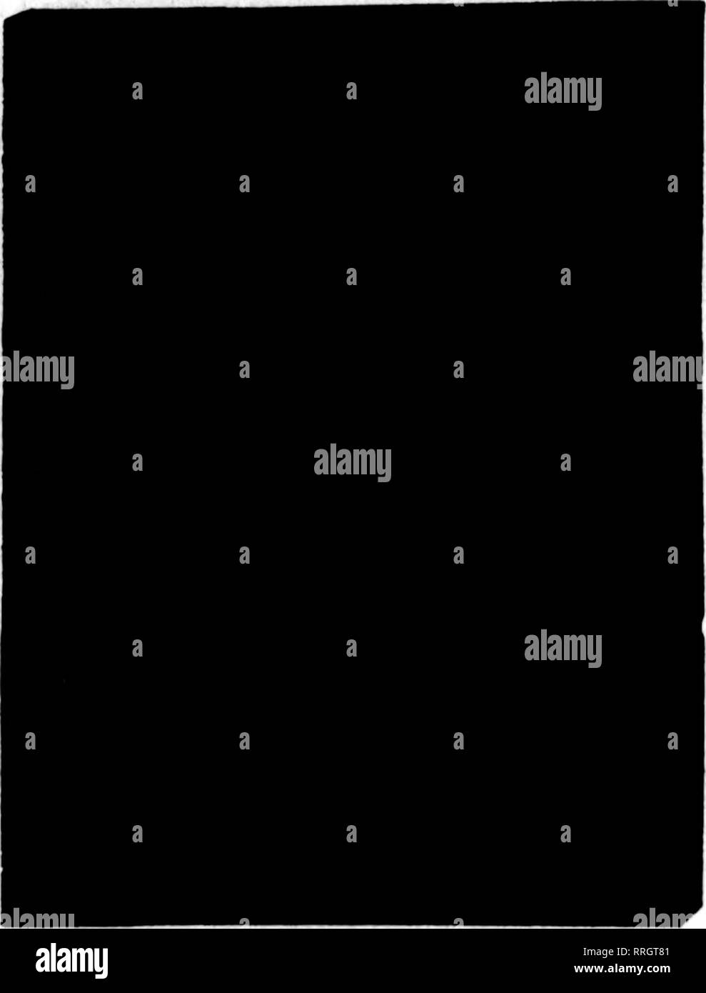 . Les fleuristes [microforme] examen. La floriculture. 26, 1920 FSBBDABT^ Les fleuristes 117 Examen 1 $ par copie, Post payé 1 $ par exemplaire, port payé. 96 pases, plus de 200 desisns et décorations, magnifiquement imprimé sur papier d'art épais, artiste- quement lié dans un strons couvrir : l'examen de l'album dessins il y a longtemps, rejoint les rangs des "meilleures ventes." La cinquième édition est mieux que jamais en ce qu'il contient les dernières créations des artistes floraux avant tout, ainsi que la position de repos de l'échange. Il s'agit d'invalu- en mesure de prendre des commandes pour des dessins, décor de mariage, Table de Banque D'Images