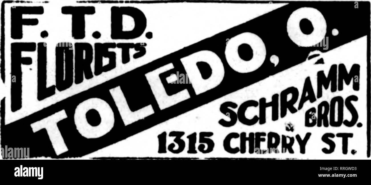 . Les fleuristes [microforme] examen. La floriculture. Le Cleveland KNOBLE BROS. CO., fleurs et produits de pépinière membres p. t. d. 1836 W. 25e St. WpII équipé pour traiter vos commandes Harriet N. Van Meier. Bldgf fleuriste Ryan, Hi^^Sprin h et r Phone 262 Springfield, Ohio "TOLEDO CLUB COMMERCIAL MEMBRES ?( TOLEDO les commerçants au détail JE LES FLEURISTES LIVRAISON DE TÉLÉGRAPHE Toledo, Ohio METZ &AMP ; BATEMAN, 221 Supérieur fleuve Ohio Bâtiment I. 1315 CIIERRY ST. TOLEDO et environs VENTE EN GROS ET AU DÉTAIL OTTO P. KRUEGER 427 East Broadway.. Veuillez noter que ces images sont extraites de la page numérisée des images qui peuvent avoir bee Banque D'Images