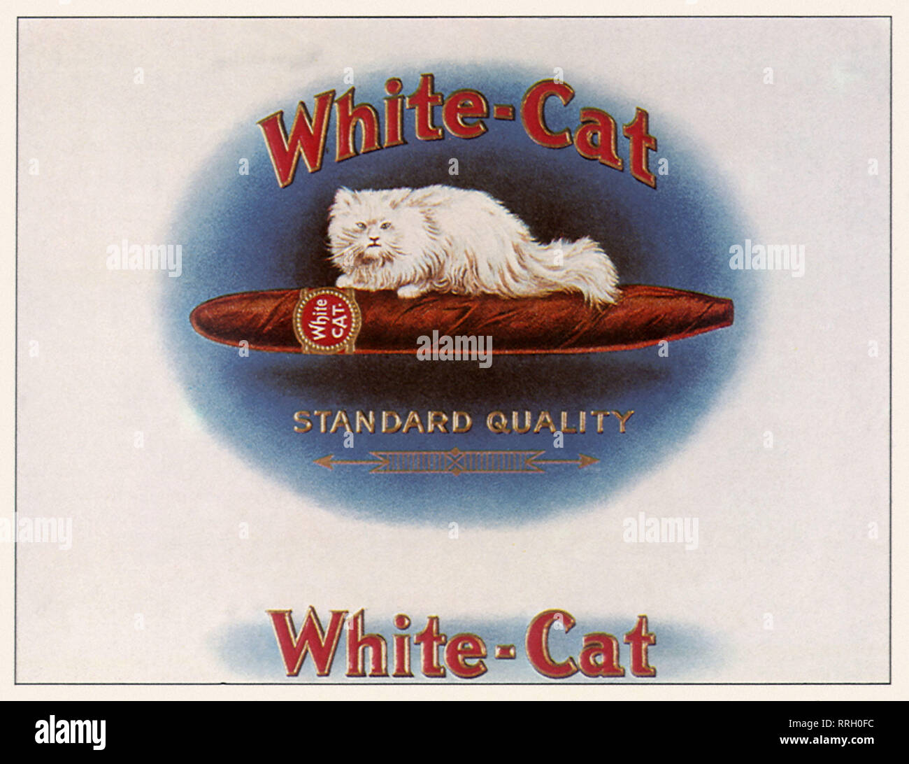 White-Cat les cigares. Banque D'Images