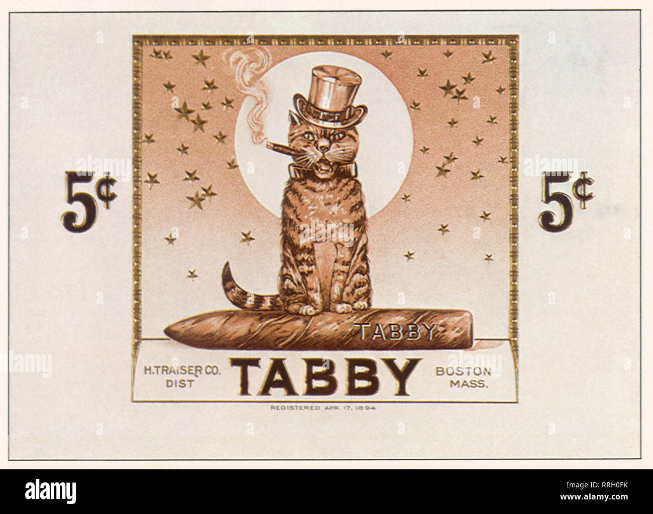 Tabby Les cigares. Banque D'Images