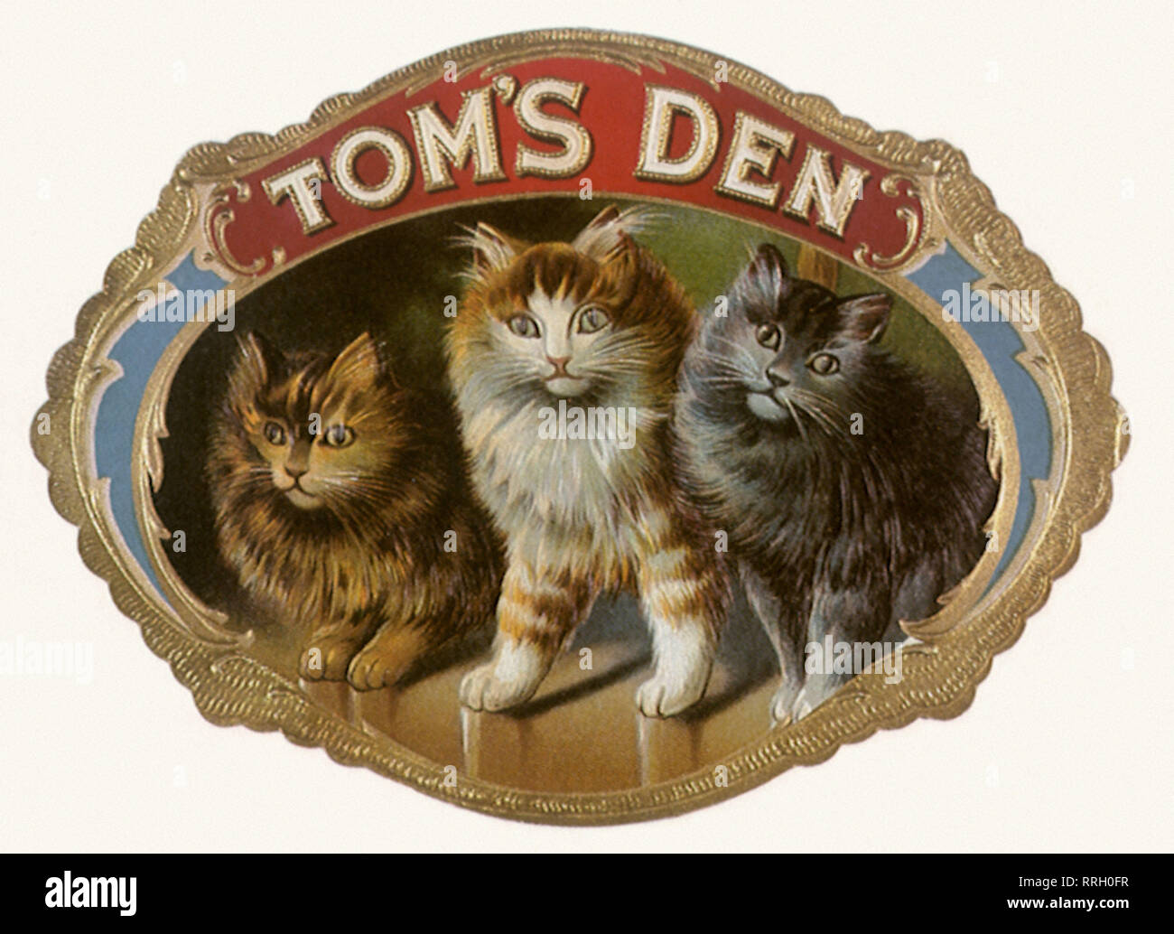 Tom's Den Cigar Label avec les chats. Banque D'Images