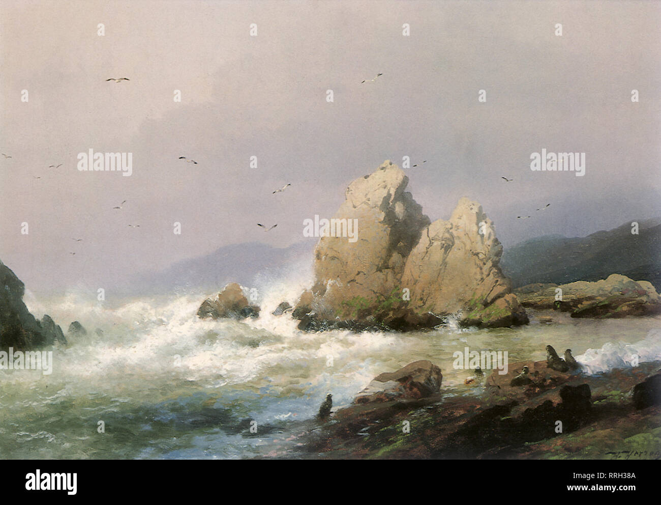 Seal Rock, San Francisco, Californie. Banque D'Images