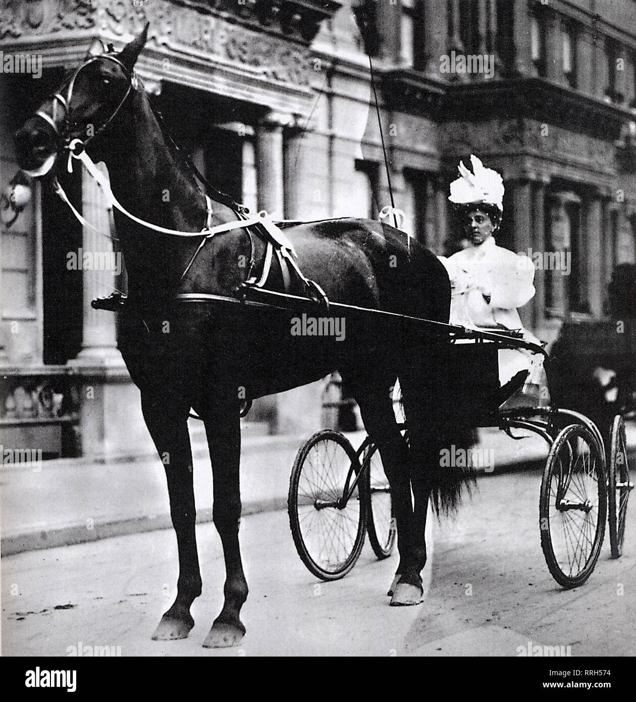 Femme sur chariot dessiné par cheval. Banque D'Images