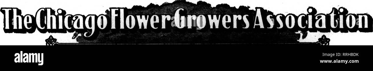 . Les fleuristes [microforme] examen. La floriculture. Les fleuristes^ NOVKMBSB 11 Examen 1920, FRED SCHRAMM, VlM-Pr"sld"nt ^^dlStOmClTS)UF UN^ SlIld dlltRUDOLPH ELLSWORTH, SMratery CHARLES McCAULEY. TrMWrcr. En gros des GD9JEUDI 28 NOVEMBRE 2013 ^^^CUT EL9NOUS1^S'-"PLANTES V) 182 N. Wabash Avenue Chicago LD.PkoMRaaMpk631 Toutes les Grâces fleuriste qui fait la suggestion à ses clients vont vendre un grand nombre de fleurs extra, pour le tableau d'utilisation, novembre 25. Commencer à prendre des commandes maintenant. " Vous vendez les fleurs Nous vous les fournir. Veuillez noter que ces images sont extraites de la page numérisée des images qui peuvent avoir été numériquement Banque D'Images