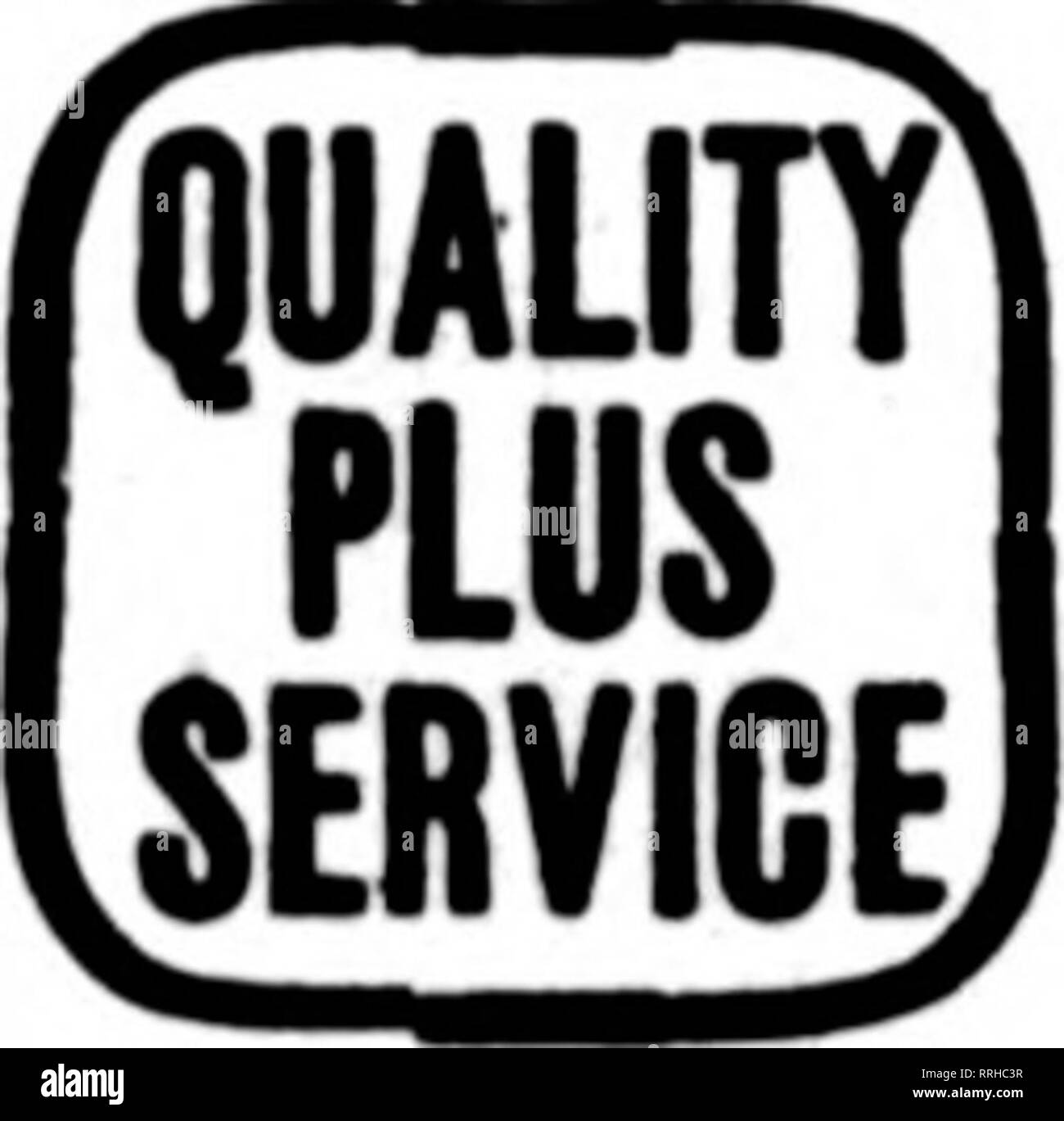 . Les fleuristes [microforme] examen. La floriculture. Pour je paturon Iowa Western Wisconsin N.W.Illinois FZOR NUR^^ERX Dubuque, Iowa. DAVENPORT, IOWA ET WESTERN ILLINOIS G. F. FORBER. 313, rue Brady fleuristes* Membre de l'Association Prestation Télégraphe. Veuillez noter que ces images sont extraites de la page numérisée des images qui peuvent avoir été retouchées numériquement pour plus de lisibilité - coloration et l'aspect de ces illustrations ne peut pas parfaitement ressembler à l'œuvre originale.. Chicago : les fleuristes Pub. Co Banque D'Images