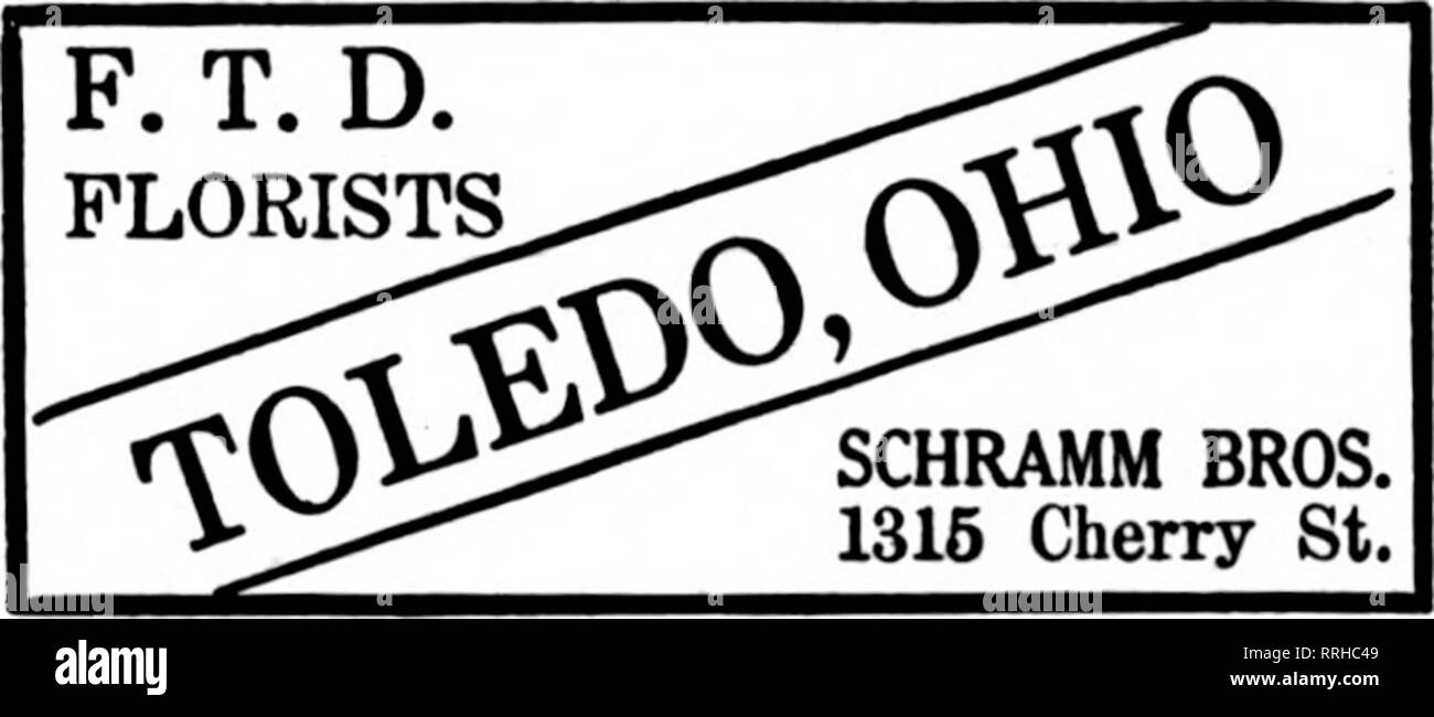 . Les fleuristes [microforme] examen. La floriculture. 897 et environs je TOLEDO CLUB COMMERCIAL MEMBRES-^TOLEDO les commerçants au détail J'FLEURISTES LIVRAISON DE TÉLÉGRAPHE Toledo, Ohio METZ &AMP ; BATEMAN, 221 Supérieur fleuve Ohio Building. TOLEDO et environs VENTE EN GROS ET AU DÉTAIL OTTO P. KRUEGER 427 East Broadway. , ^f- e f^ Fremont, 0. si je ? ^ * Horn Co. Floral 912 ST CROGHAN États F. D. T. COLUMBUS. 0., et environs Le FLORAL MUNK CO., les producteurs peuvent remplir toutes les commandes de détail. WILSON NOUS LE FERONS RAPIDEMENT Columbus, Ohio Columbus, Ohio F.^^»^n xl. Le FRANKLIN Parc Floral"^ FlosFcr coupe Co. pour le centre de l'Ohio. L'SUDER Banque D'Images
