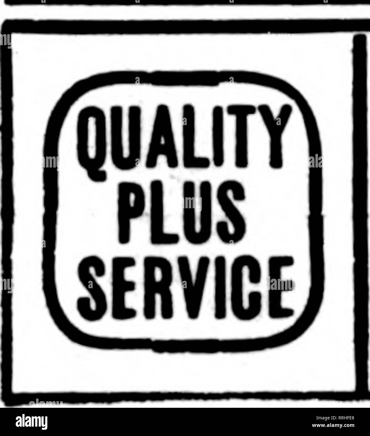 . Les fleuristes [microforme] examen. La floriculture. Eastern Iowa pour { Western Wisconsin N. W. Illinois noRAL hfUi^ERX Dubuque, Iowa. DAVENPORT, IOWA ET WESTERN ILLINOIS G. F. FORBER. 313, rue Brady États les fleuristes Livraison de télégraphe Association. Veuillez noter que ces images sont extraites de la page numérisée des images qui peuvent avoir été retouchées numériquement pour plus de lisibilité - coloration et l'aspect de ces illustrations ne peut pas parfaitement ressembler à l'œuvre originale.. Chicago : les fleuristes Pub. Co Banque D'Images