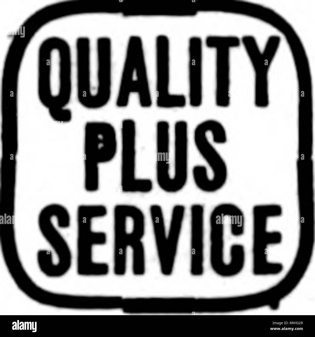 . Les fleuristes [microforme] examen. La floriculture. Eastern Iowa Western Wisconsin pour ^ FWRALNUR^N. W. Illinois ERX Dubuque, Iowa. DAVENPORT, IOWA ET WESTERN ILLINOIS G. F. FORBER. 313, rue Brady États les fleuristes Livraison de télégraphe Association. Veuillez noter que ces images sont extraites de la page numérisée des images qui peuvent avoir été retouchées numériquement pour plus de lisibilité - coloration et l'aspect de ces illustrations ne peut pas parfaitement ressembler à l'œuvre originale.. Chicago : les fleuristes Pub. Co Banque D'Images