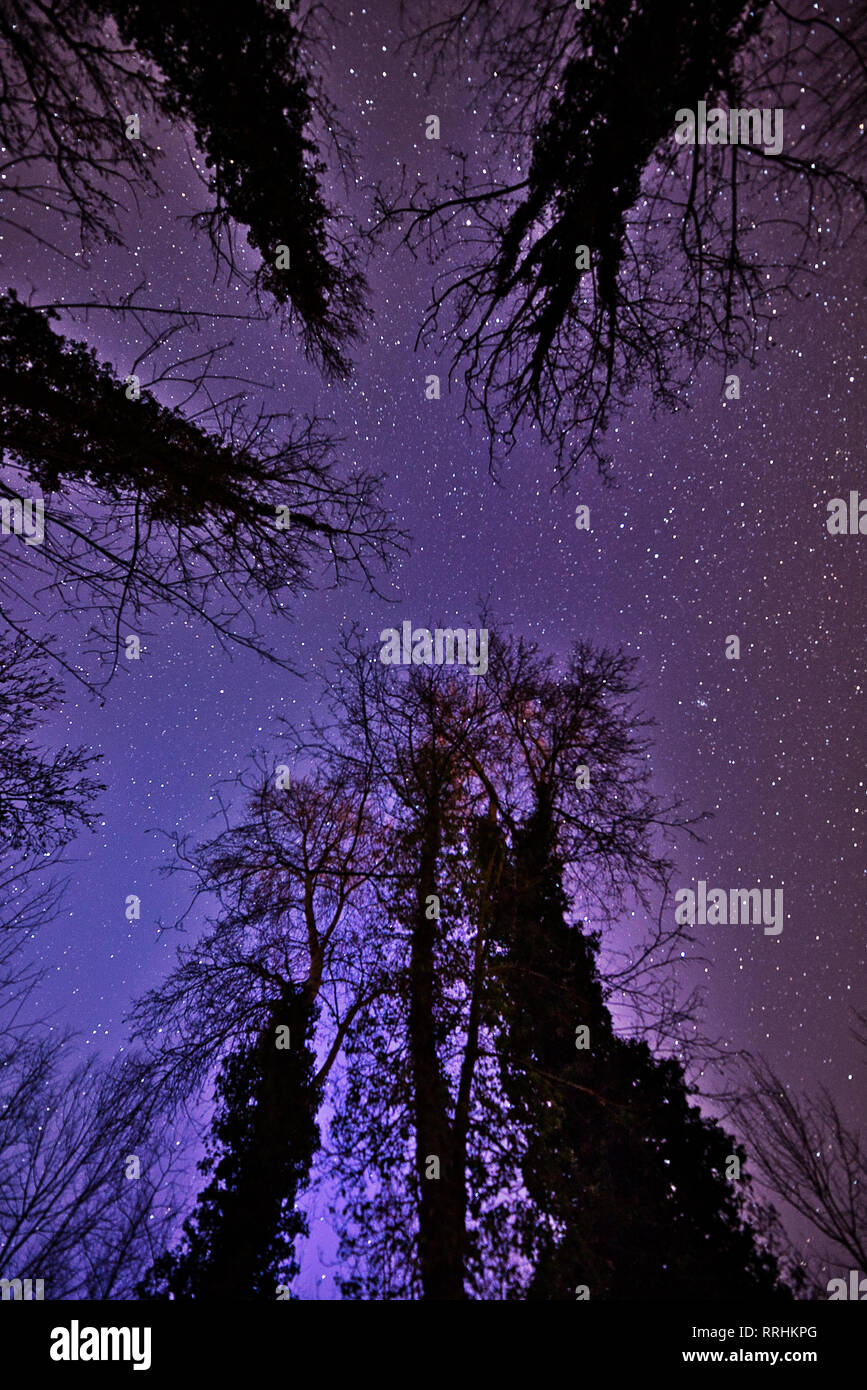 Night Sky Stars Forest River Banque D'Images