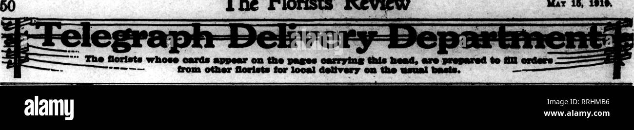 . Les fleuristes [microforme] examen. La floriculture. Les fleuristes'Review Mat 15. Si l"i. 19. Les fleuristes PUBLISHING CO. SOS South Dearborn St., Chicago Vous pouvez insérer une carte de livraison de télégraphe | occupation J/1 pouce dans eacli ^Strfk* Question d'ailes d'avoine pas weelcly^. voulait les fleuristes examen pour une période de un an à partir de la date, et tliereafter jusqu'à interdiction par l'autre partie, pour lequel : aarree à payer mensuellement au taux de j j^^^ * Je net, chaque insertion. .^ ^ 8trik.avoine".M !;ou.. J U QT Vous voulez être représentés, signer, découpez et le centre commercial. covpon^' Bl INDEX PAR VILLES DES FLEURISTES AU DÉTAIL Ville Pai* ADA Banque D'Images