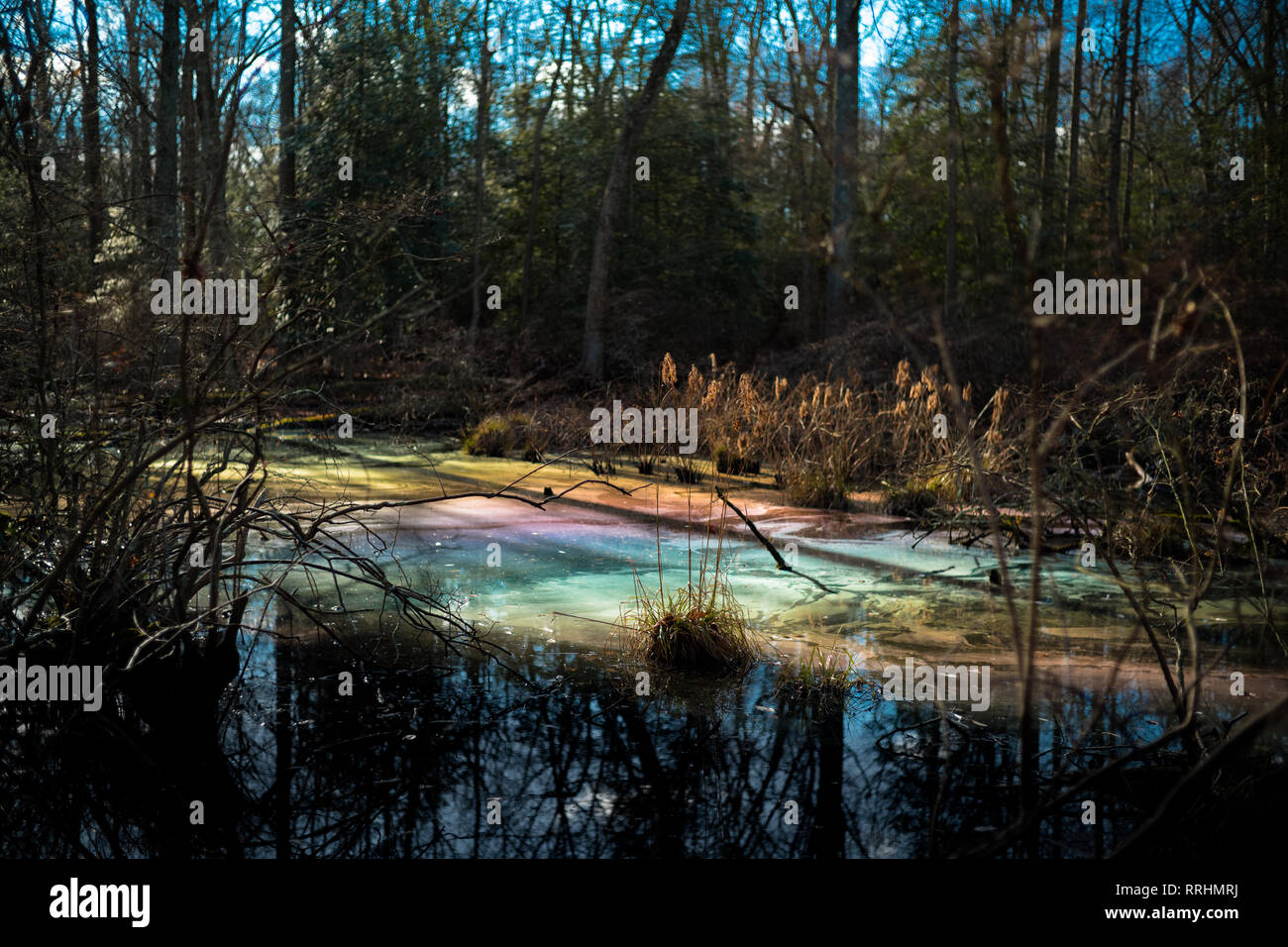 La pollution de l'eau toxique colorés dans des milieux humides pour l'environnement Environnement. Banque D'Images