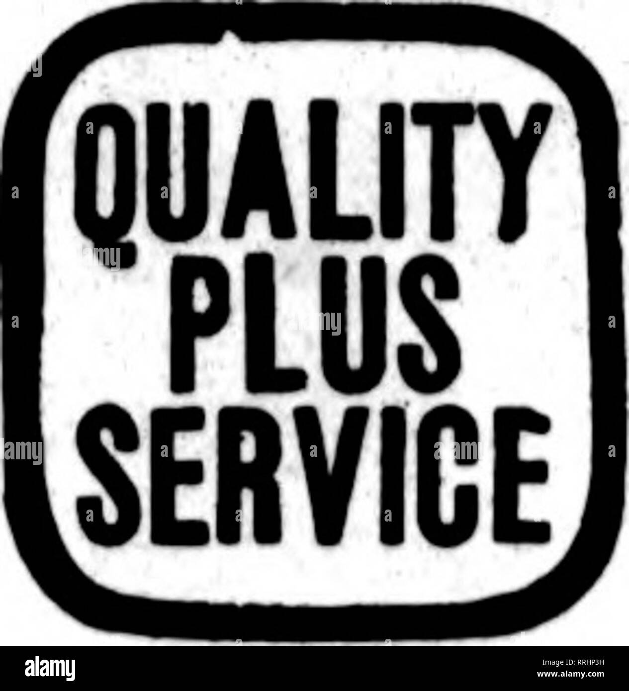 . Les fleuristes [microforme] examen. La floriculture. Marshalltown, Boone, Centreville, Ames, Oskaloosa, Oelwein, Mason City, Waterioo ENVOYER TOUR POUR ABRITER LE PLUS PROCHE DE LA LIVRAISON. DAVENPORT, Iowa et Western Illinois rORBER &AMP ; BIRD, 313 rue Bralf* Fleuristes Membres Association Livraison Telegraph.. Veuillez noter que ces images sont extraites de la page numérisée des images qui peuvent avoir été retouchées numériquement pour plus de lisibilité - coloration et l'aspect de ces illustrations ne peut pas parfaitement ressembler à l'œuvre originale.. Chicago : les fleuristes Pub. Co Banque D'Images