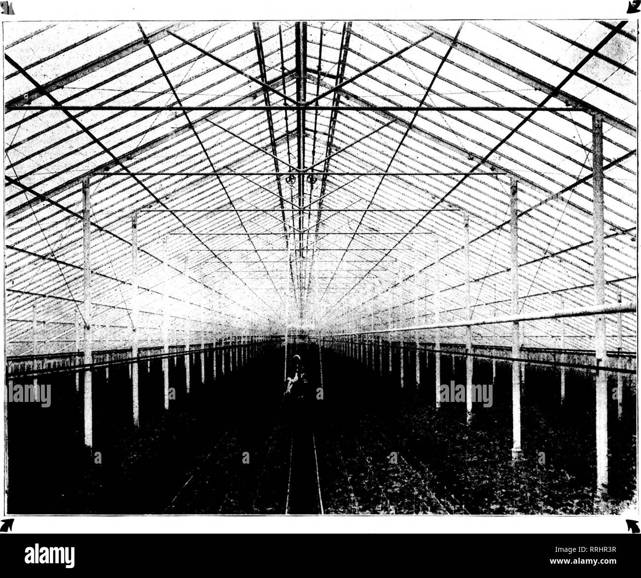 . Les fleuristes [microforme] examen. La floriculture. 23 août, l'J17. Les fleuristes^ 115 A. J. Examen du cadre de fer STAHELIN Foley House et ce qu'il pense de lui. Kedford. Au Michigan. Lllh Août, liU7. Geatlemen : De toutes les maisons sur ma place, le 7'-'x 400 pi. maison que vous avez construit pour moi l'année dernière a donné la plus grande satisfaction de l'INÉ. Il est ainsi conçu comme une maison que j'ai jamais vu, et a été érigé avec le plus grand soin. Je suis surtout heureux de la peinture et de vitrage. (Signé) A. .1. Si III 1.1 . Et nous continuerons d'ajouter que cette "Foley House" n'était pas son premier Fer à Repasser Fra Banque D'Images