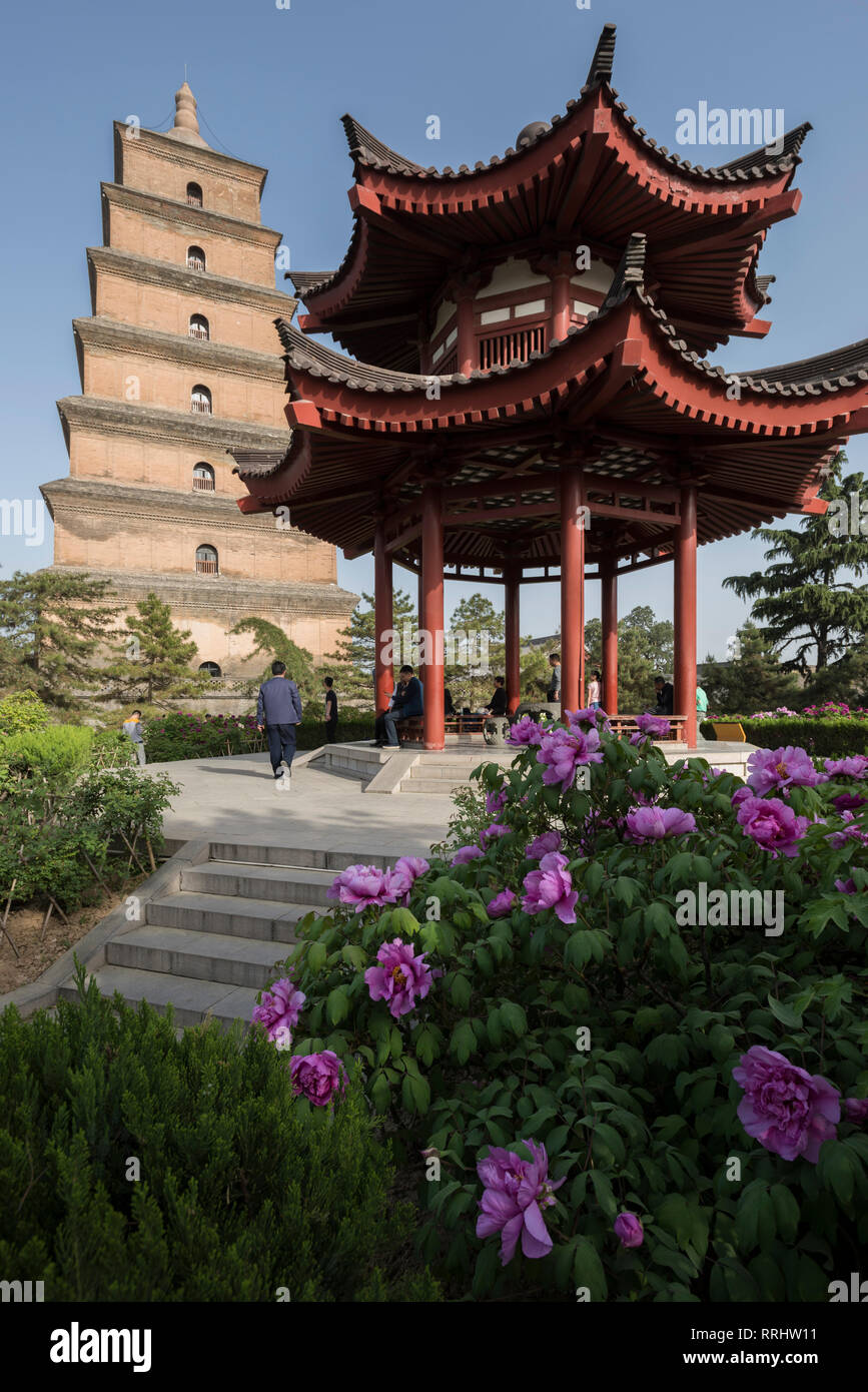 Giant Wild Goose Pagoda (Big Wild Goose Pagoda), Xi'an, province du Shaanxi, China, Asia Banque D'Images