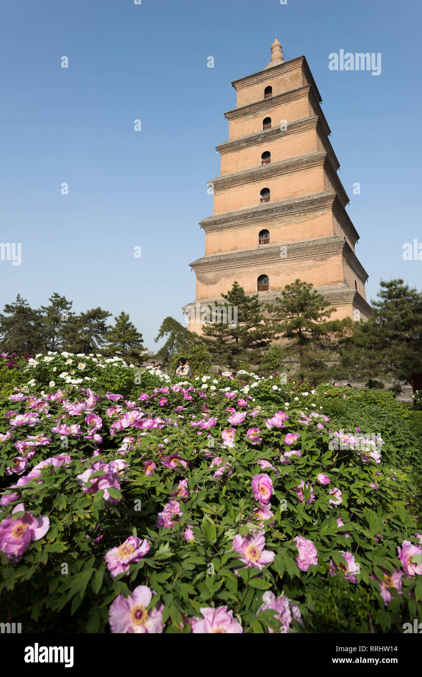 Giant Wild Goose Pagoda (Big Wild Goose Pagoda), Xi'an, province du Shaanxi, China, Asia Banque D'Images