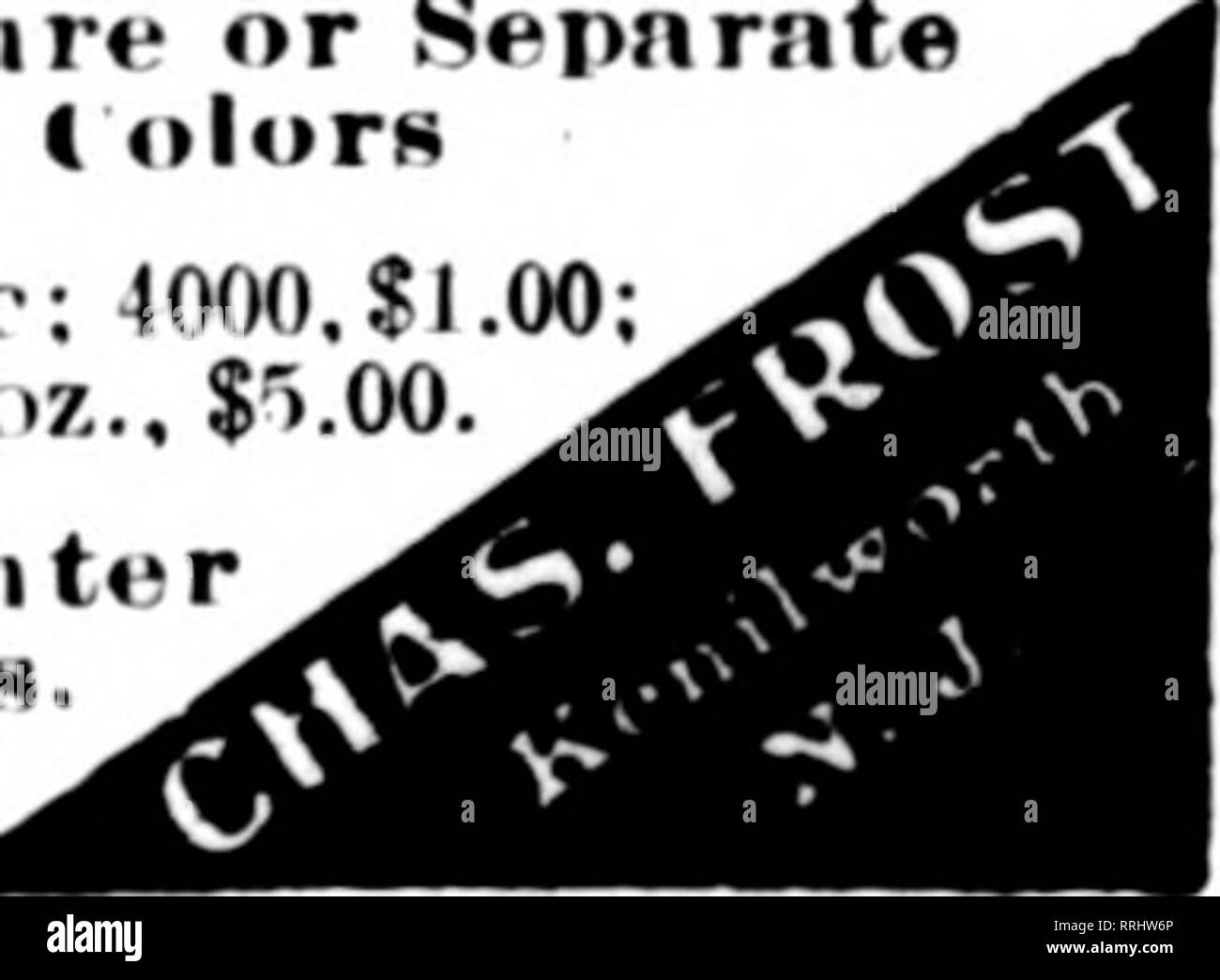 . Les fleuristes [microforme] examen. La floriculture. Pansy géant &111;gt semence Iixlure olorK ou séparées (l(KH)so.'DH. :;Ou : lOOO.JI.OO ' ?I ()/. .$1.30 : ()7... $'&gt ;.oo K;irl.v 1- l&lt;iv"ou Tiiitf Itiooniiiii^» Viiit r ; &Lt ; ?) allumé JE'MiisifH l(l(K)-.f, rl-. li- : '" (,/... $100 '4O/..$J.00 : ()/.,$7 . ?)0. MPTiflon l'examen quand vous écrivez.. DAHLIAS Strong, touffes de terrain indivis par touffe Aegir, riche rouge cardinal, cactus lOc C. W. Bruton, jaune, 10c Floradora décoratif, rouge sang, cactus 12c Golden Gate, très grand cactus jaune d'or, 15c le roi Léopold, très grand, la pivoine jaune crème-flow Banque D'Images