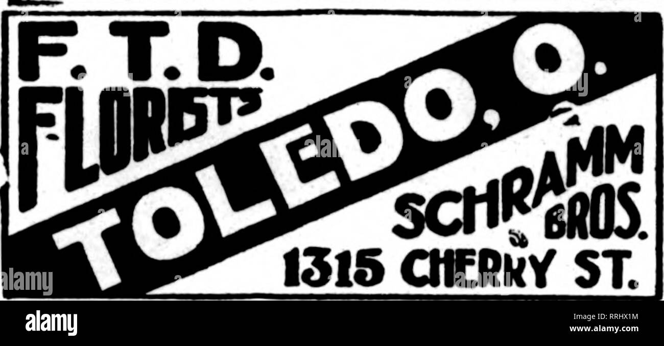 . Les fleuristes [microforme] examen. La floriculture. n" wliose oarda fleuristes apparaissent sur tbe itacos carrylnB praparad ttds baad, Aro Huile d'ordara. **'*' Dans othair dallTanr locaux pour les fleuristes sur base nsnal tlia. Le Cleveland KNOBLE BROS. CO., fleurs et produits Nurseiy membres p. t. d. 1836 W. 25e St. bien équipé pour traiter vos commandes. Les MEMBRES DU CLUB COMMBRCIAL TOLEDO TOLEDO-{ les commerçants au détail JE LES FLEURISTES TELEGRAPH OEUVERY Toledo, Ohio METZ &AMP ; BATEMAN, 221 Supérieur fleuve Ohio Building . Se9SS. AOkl 1315 ST. TOLEDO ana aux environs de la VENTE EN GROS ET AU DÉTAIL OTTO P. KRUEGER 427 East Broadway.. Veuillez Banque D'Images