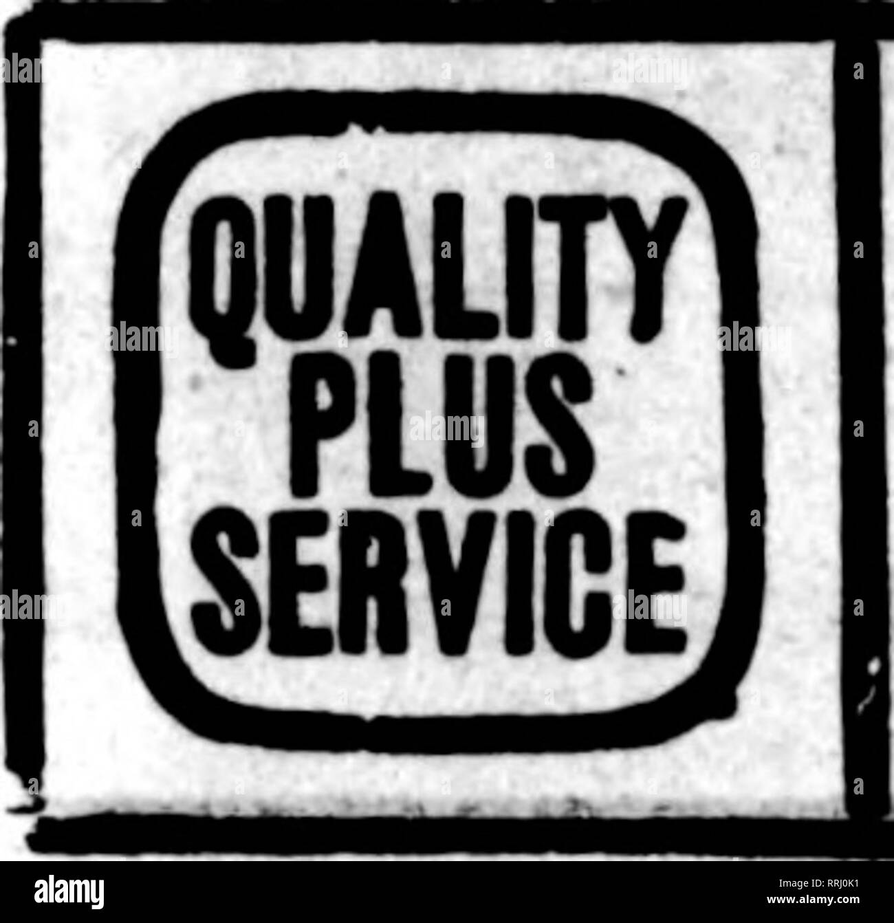 . Les fleuristes [microforme] examen. La floriculture. DAVENPORT, Iowa et Western Illinois FORBER &AMP ; BIRD, 313 Fleuristes Membres Stnet Bnir Telegraph. AssodatJon* Livraison. Veuillez noter que ces images sont extraites de la page numérisée des images qui peuvent avoir été retouchées numériquement pour plus de lisibilité - coloration et l'aspect de ces illustrations ne peut pas parfaitement ressembler à l'œuvre originale.. Chicago : les fleuristes Pub. Co Banque D'Images