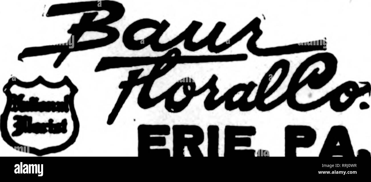 . Les fleuristes [microforme] examen. La floriculture. Envoyez-nous vos commandes Service rapide Attention personnelle pour fleuristes membre ^Association Prestation Télégraphe r^ Uniontown, PA. ng STENSON &AMP ; McGRAIL/'^^^^H o S"^ Morsantown Stxeet 11 PRODUITS FRAIS ISSUS DE CHEZ LES FLEURS COUPÉES ET PLANTES en tout temps GILES, la lecture Rorist, PENNA. Les États F. D. T. J. C. LAVER Erie, PA. Écrire, téléphoner orWirex^^hWv fi'^. ERIE, PA. HARRISBURG, PA. F. E. RiDENOUR, 1221 3e Rue N. MEMBRE ROTARTAN F. D. T. HUNTINGDON, PA. J. LESLIE LAIRD BON SERVICE GARANTI WARREN, PA. Jardin floral Crescent, ^»^ll.SSSS^ nKeS« Jjarre- W P Banque D'Images