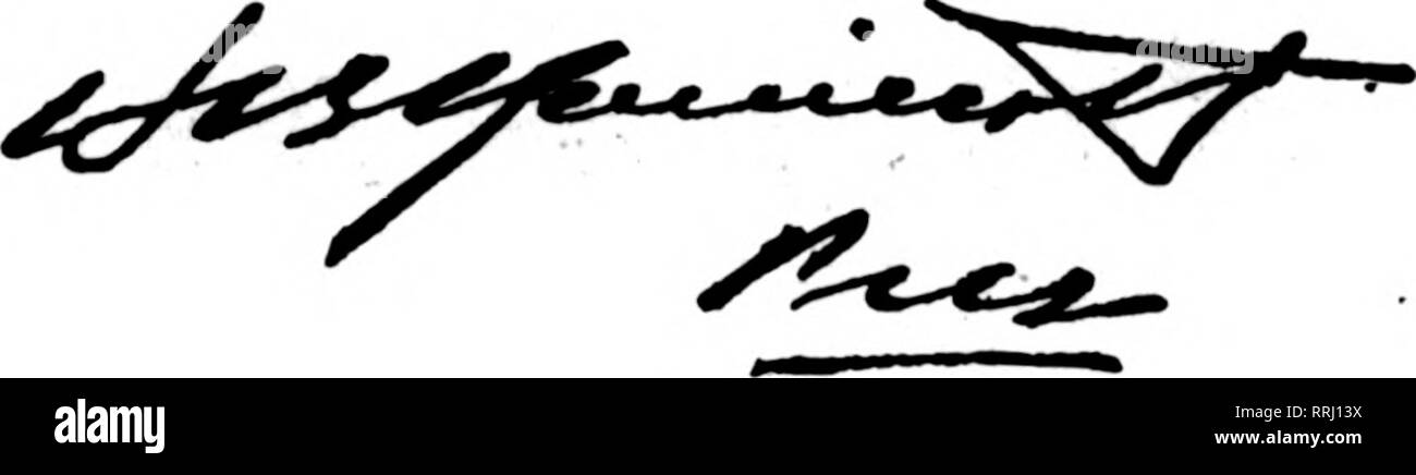 . Les fleuristes [microforme] examen. La floriculture. Nous avons été assis CE SONT LES JOURS OÙ NOTRE SERVICE VEUT DIRE QUELQUE CHOSE.. J'ai 30 E. Randolph St. T£ ?£^^.d;i;8" ^iiiiiiiiiiiiiiiiiiiiiiiiiiimmiiimiiiiiiiiimiiiiiiiiiiiiMiiiiiiiiiiiiiiiiiiiiiiiiiiiiiiiiiiiiiiiiiiiiiiiiiiiiiiiiiiiiiiiiiiiiiiiiiiiiiiiiiiiiiiii | CHICAGO mand pour funérailles fleurs est moins forte qu'il ne l'a été dans le dernier mois. Frank Schramm's Expansion. Frank Schramm, à Crystal Lake, 111., a placé une commande, avec l'American Émissions Manufacturing Co., pour ma- terial pour deux maisons, chacune 43x225, qui doublera son banc l'espace. La n Banque D'Images