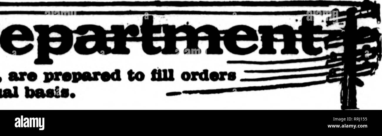 . Les fleuristes [microforme] examen. La floriculture. Jusqu'florlsto* wbos* oarda appMur pftcea earrylnK sur tli" fhls baad, 9001 : transition 2000-2008 sont à remplir à partir de l'ordre* ?- flortots ofher pour la livraison locale sur la tuberculose* naual.. San Francisco, Oakland et Berkeley aux environs CHAS. C. NAVLET CO. 423 et 427 Market Street, SAN FRANCISCO. CAL. 20 et 22 également à l'Est de la rue San Fernando, SAN JOSE. CAL. San Francisco, Californie McLAREN-MacRORIE COMPANY 141 Powell Street et Palace Hotel Nurserlea, San Mateo, Californie. Nous sommes la seule vente en gros et au détail à San Fran- fleuristes, cisco et peut donner meilleure attention à toutes les commandes sur l'ac Banque D'Images
