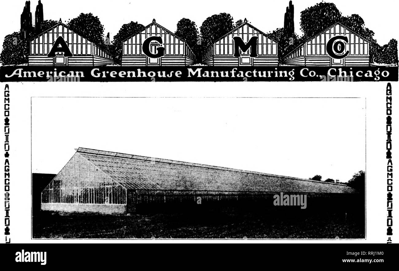 . Les fleuristes [microforme] examen. La floriculture. 12, 1920 Febkuaky^ Les fleuristes Review II. J'ai Q T Q T I Q ft Q I U I Q ft UN G M C D FT Q Je ft Q J Q ft D'ir Regarder Nielsen^ le producteur, croître en 1918 le AGMCO construit un grand 62 x 400 pi. maison à ossature en acier pour A. N. Nielsen à la Pana, 111. Ce n'était pas quelque chose de nouveau à lui, car il avait grandi en stock primé abrite tout comme il AGMCO dans la magnifique gamme de Gullett &AMP ; Fils, Lincoln, 111. Nielsen a connaissance d'AGMCO les performances. Il préférait à tout autre, après avoir essayé toutes. C'est pourquoi- il a placé une deuxième commande pour quatre maisons AGMCO Banque D'Images