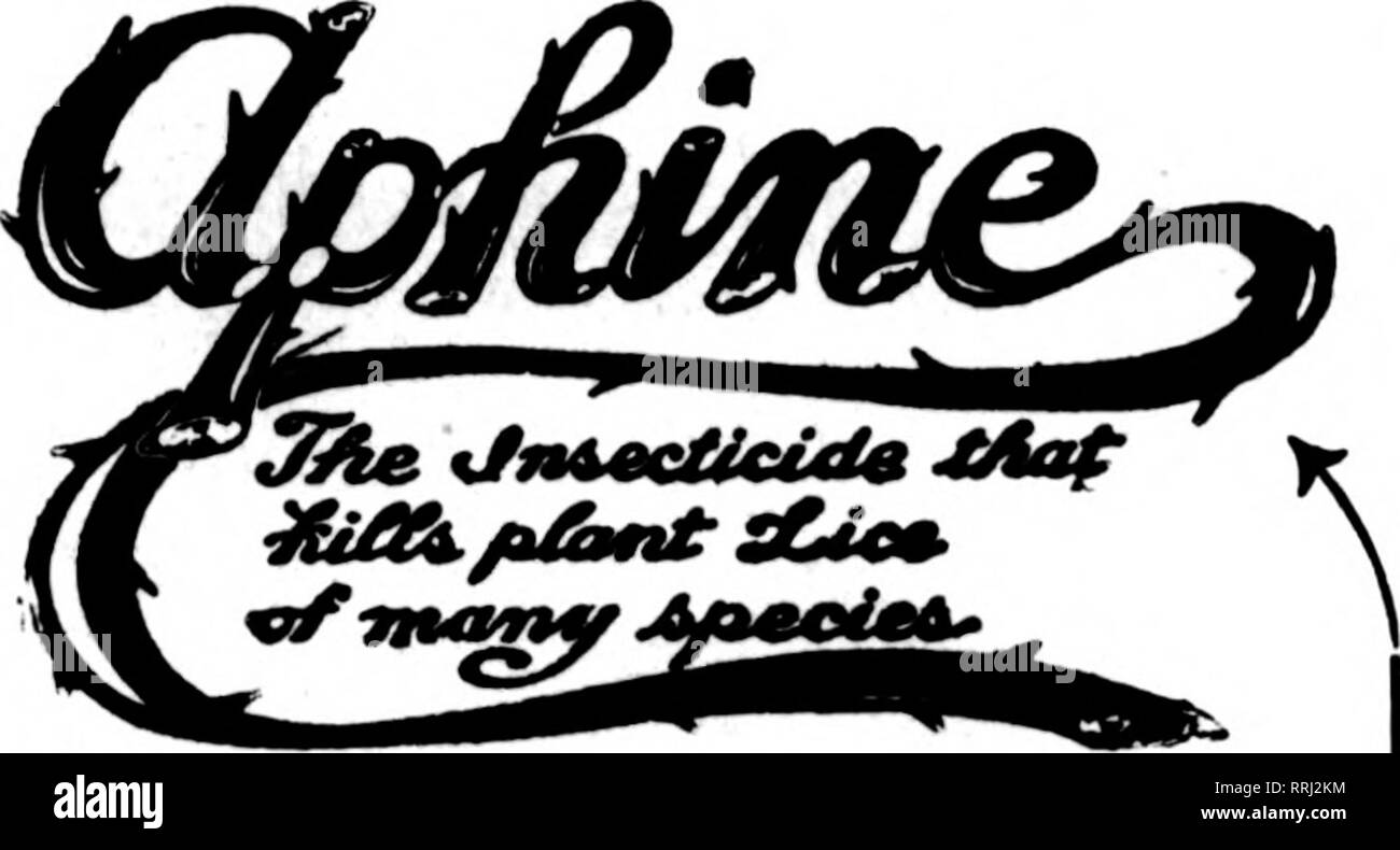 . Les fleuristes [microforme] examen. La floriculture. OCTOBBB 11, 1917. L'examen pour fleuristes 97 Notre nouveau catalogue est prêt ENVOYER POUR ELLE-C'EST GRATUIT Ce catalogue est plein de faits qui seront de l'argent réel de la valeur à tout producteur- il devrait être dans les mains de chaque fleuriste aux États-Unis. Écrire pour aujourd'hui. Ministère adresse B. Lorsque vous planifiez votre prochain bâtiment nous fera plaisir d'figure sur vos besoins et suis certain que nous pouvons satisfaire tous vos besoins. Nous avons construit des serres POUR 34 ANS ET DE SAVOIR COMMENT L'ENTREPRISE DIETSCH, A. 2640 Sheffield Avenue, Chicago mentionner l'examen quand vous écrivez.. r Banque D'Images